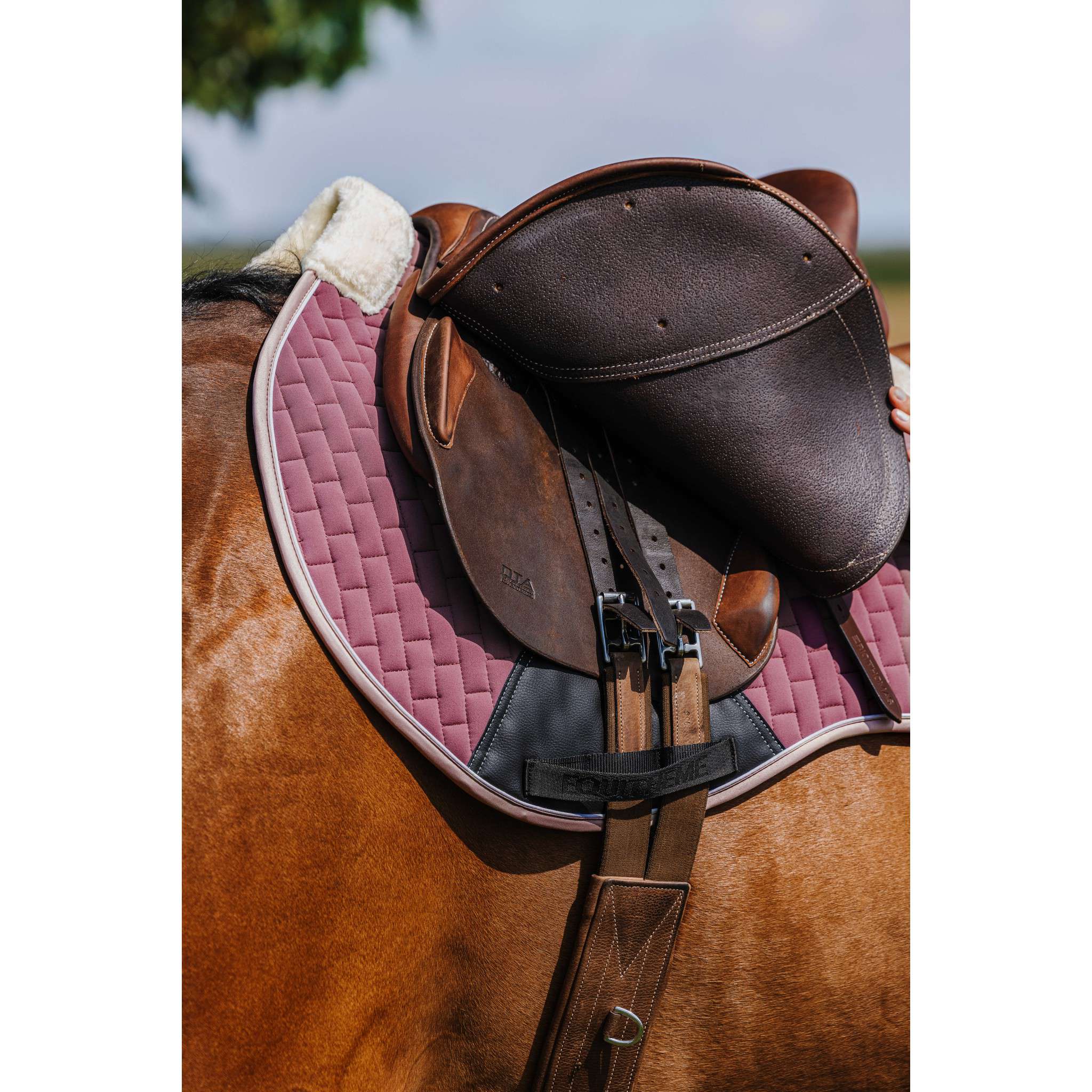 EQUITHÈME Dinard Saddle Pad - All purpose Antique pink 204007016