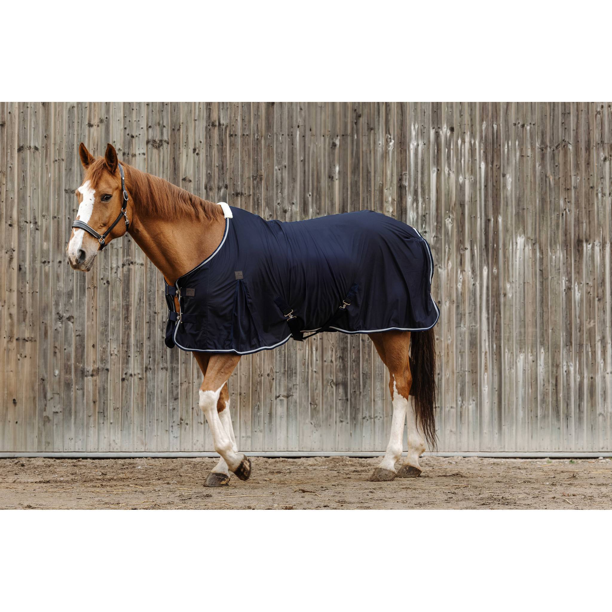 EQUITHÈME Micro Mesh Sheet - Standard Navy blue 400354063