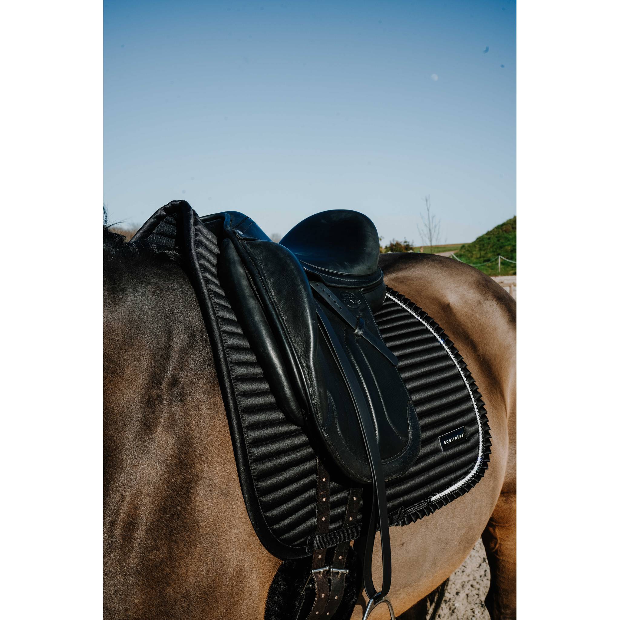 EQUITHÈME Glam Dressage Saddle Pad Black - 204025002_ambi_2