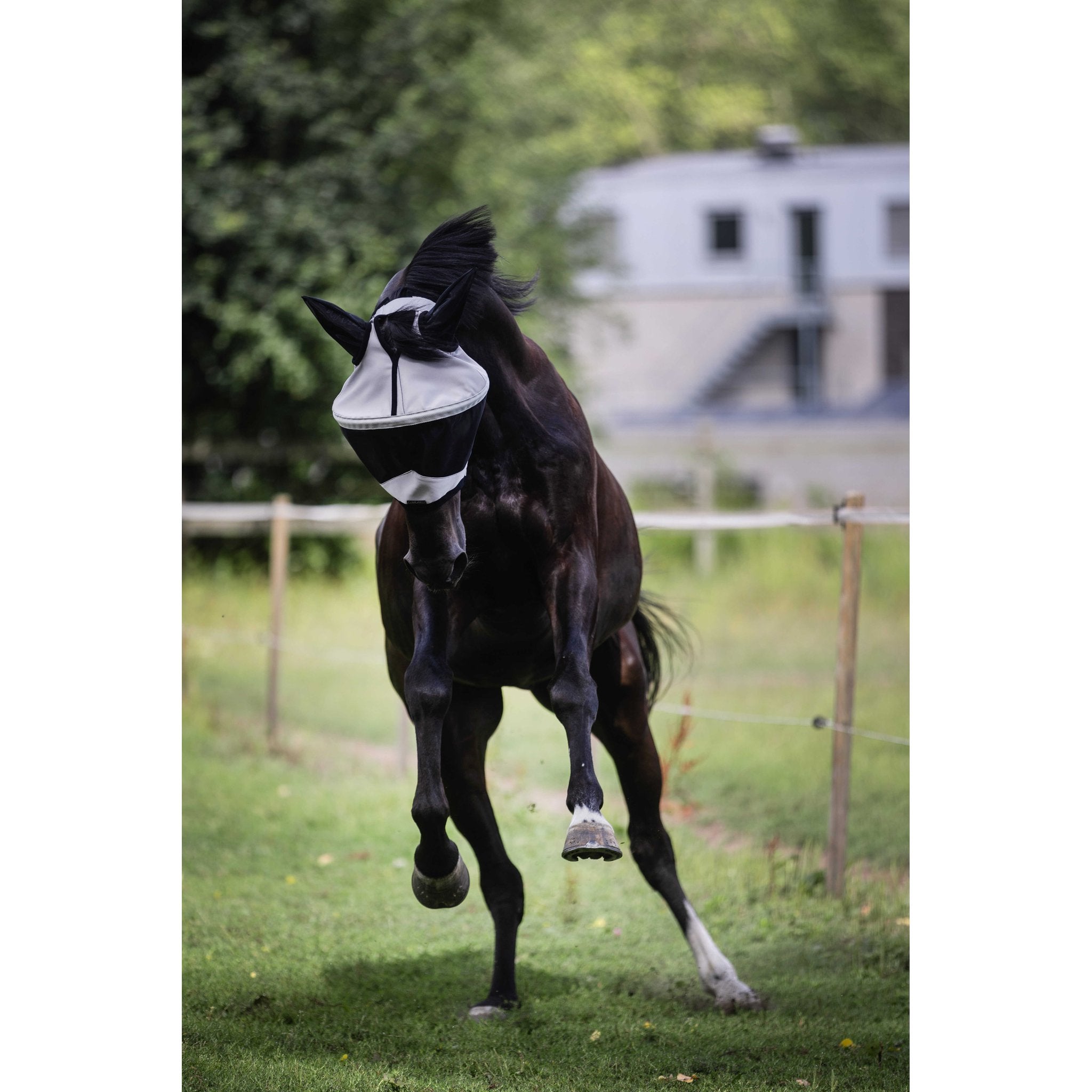 LAMI-CELL Easyfit Fly Mask Grey - 306048311_ambi_9