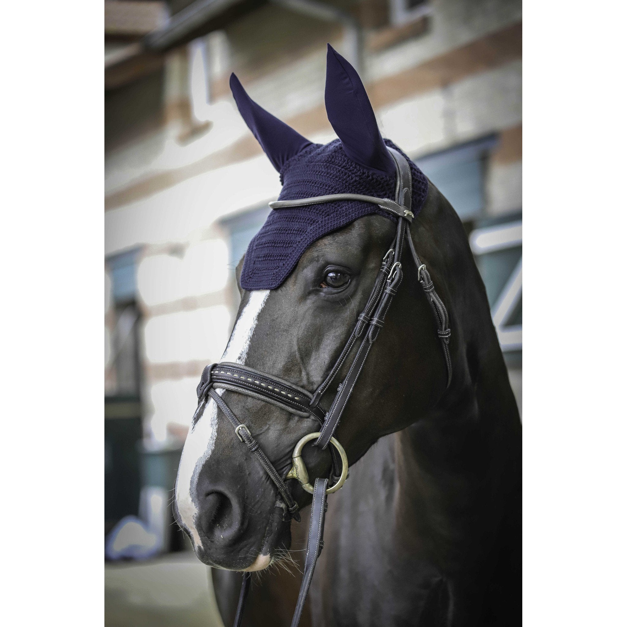 Paddock Sports Pro coton fly veil Navy blue 306986007