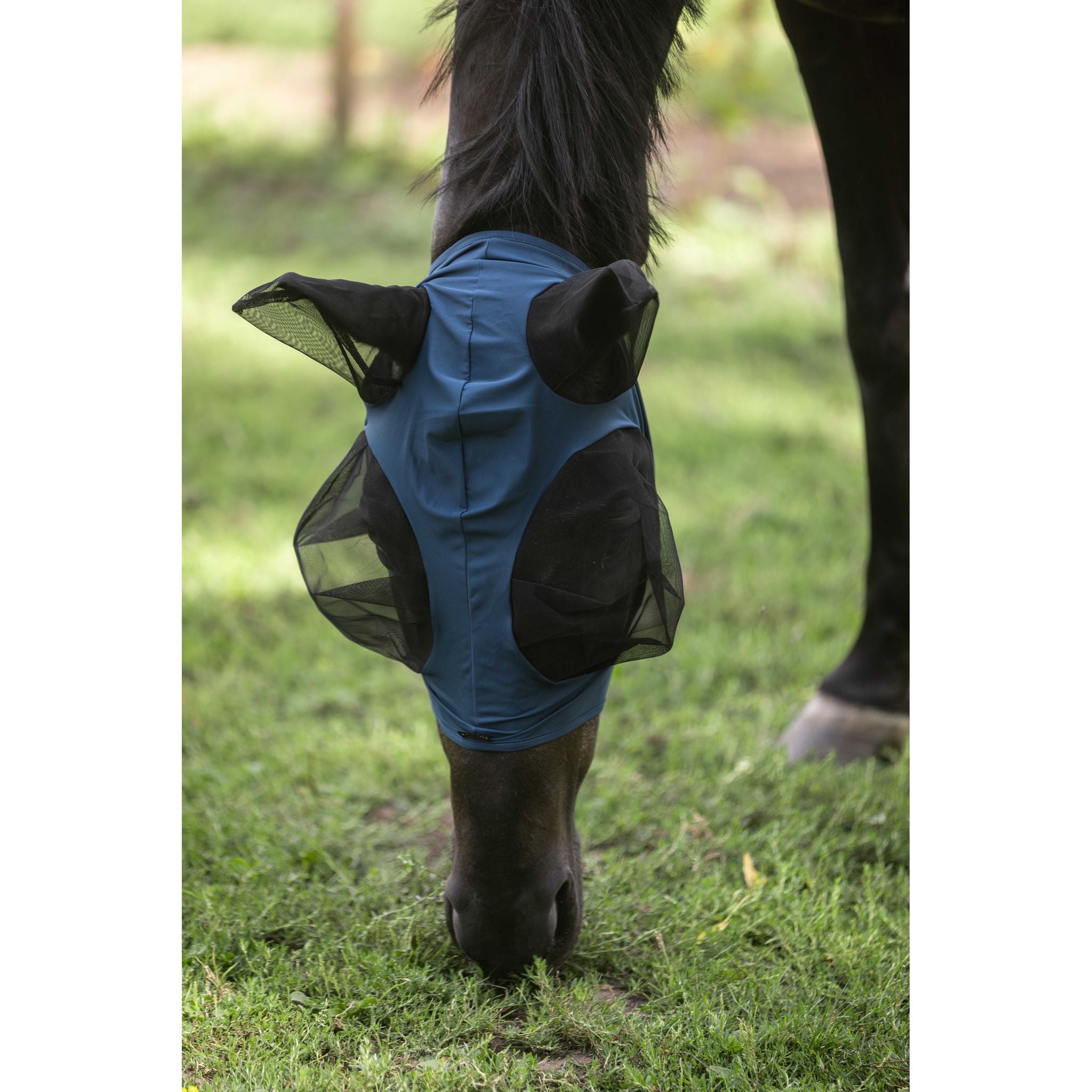 LAMI-CELL Lycra Fly Mask Blue - 306046206_ambi_5