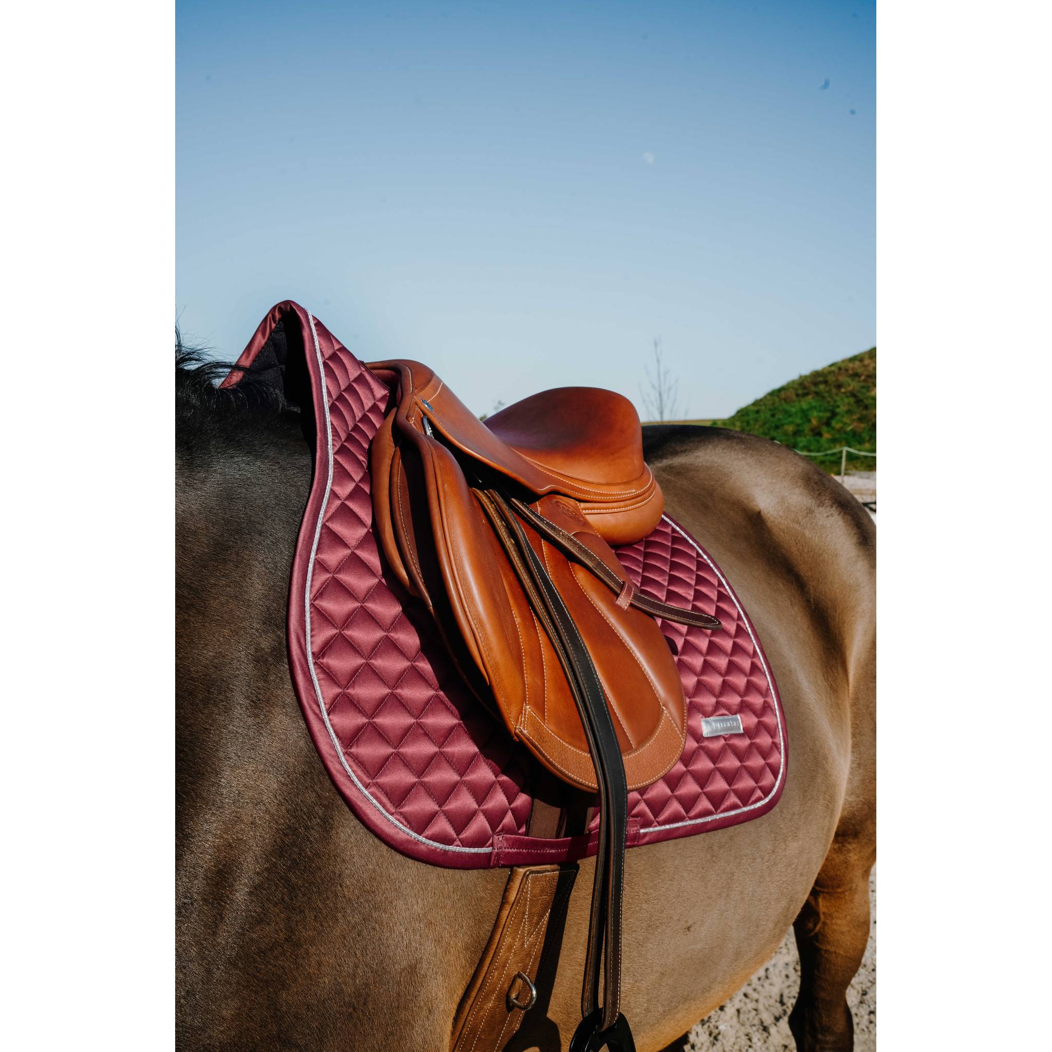 EQUITHÈME All-Purpose Saddle Pad - Mother of Pearl Burgundy - 204029033_ambi_2
