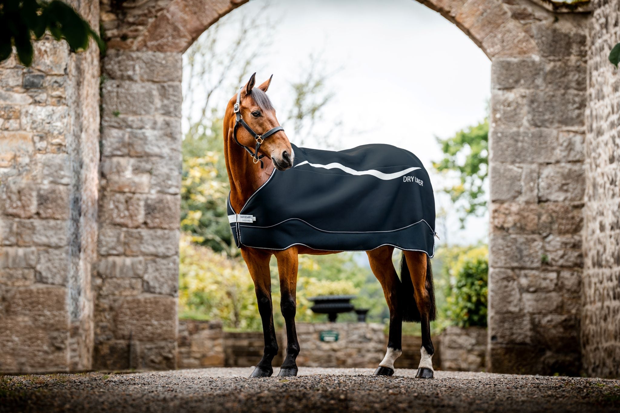 Horseware Dry Liner - Standard Navy blue