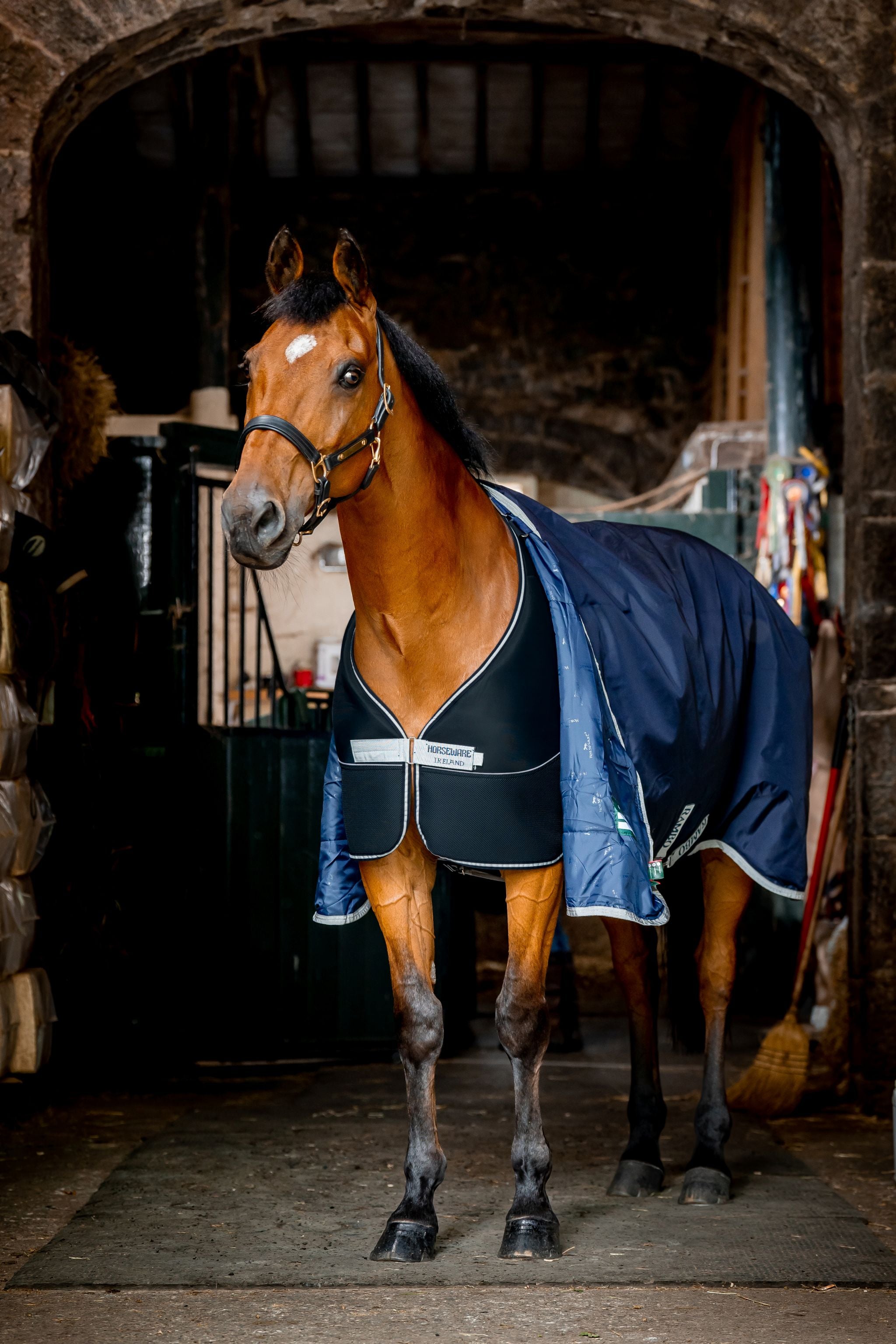 Horseware Dry Liner - Standard Navy blue