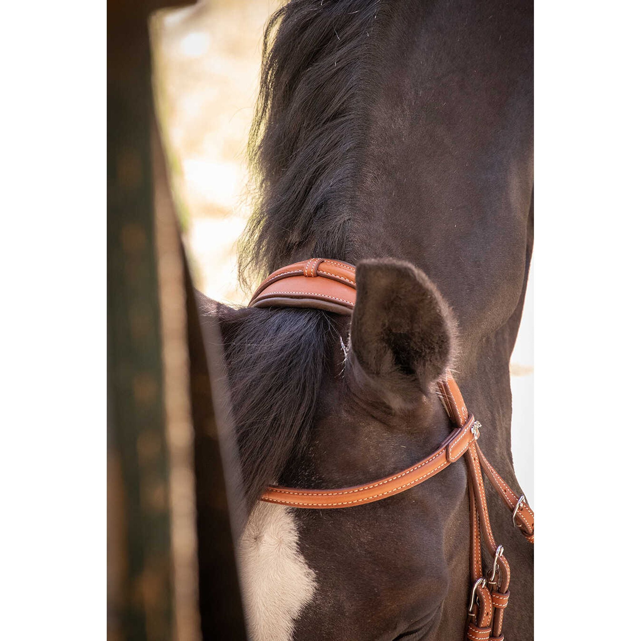 Penelope Elegance Bridle Cognac - 301605314_ambi_7