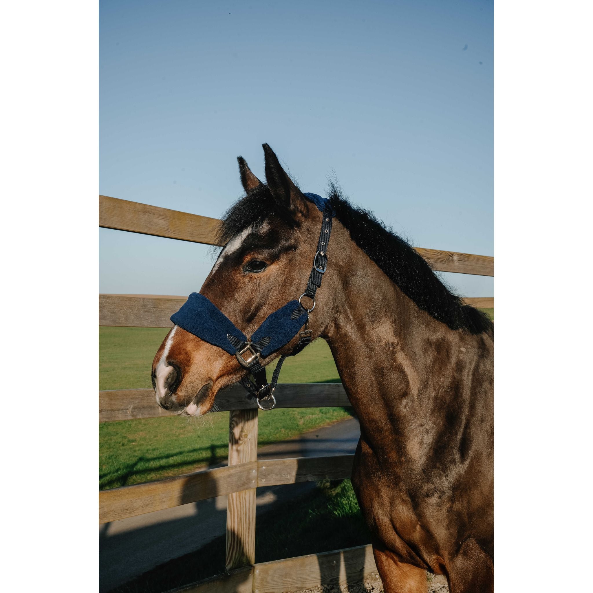 NORTON Sherpa Halter Navy blue - 510279307_ambi_2