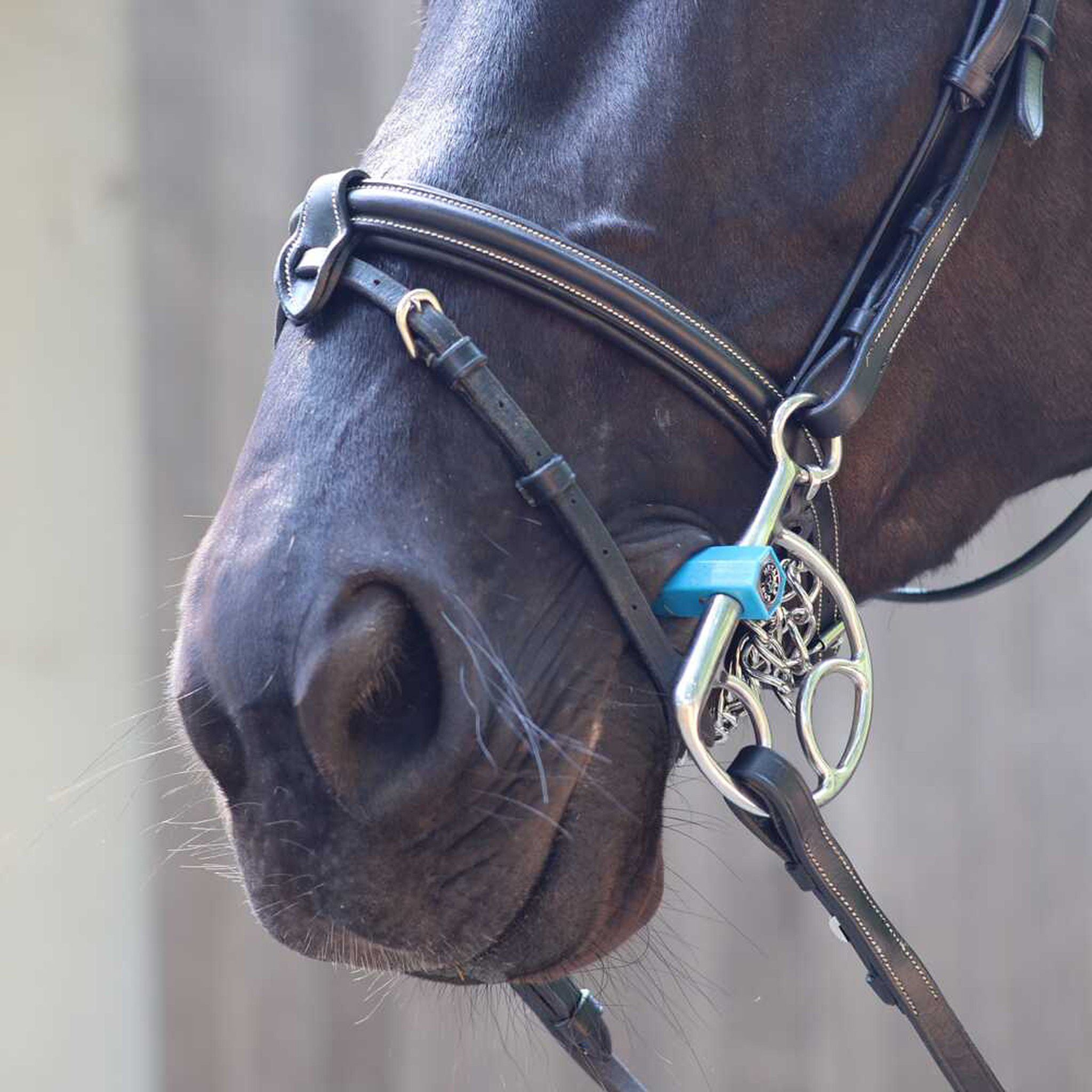 Metalab Flexi Medium Spanish Bit 590171130