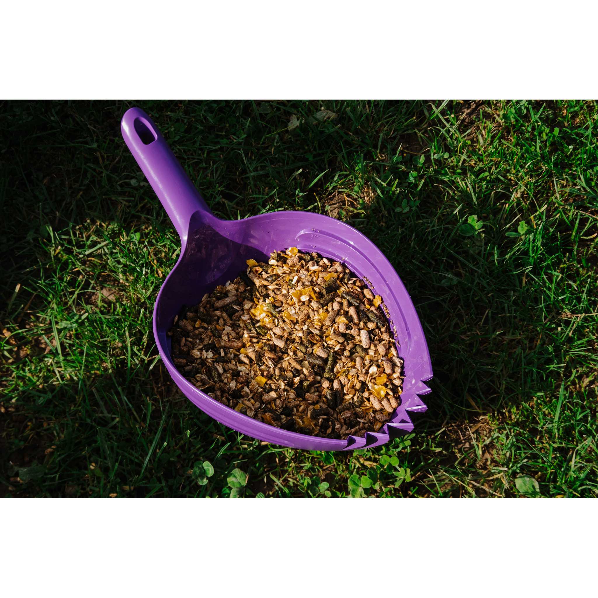HIPPO-TONIC Shark Grain Scoop Green - 704153015_ambi_1