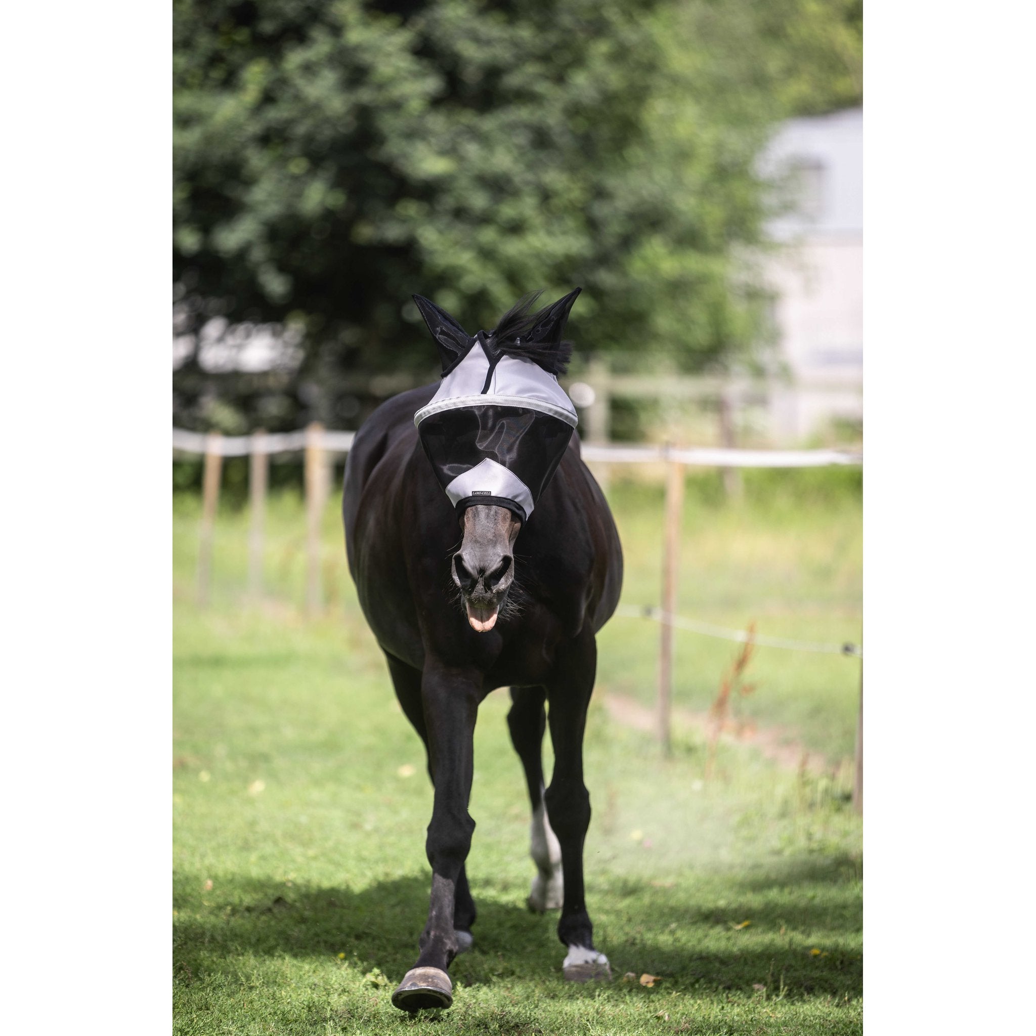 LAMI-CELL Easyfit Fly Mask Grey - 306048311_ambi_1