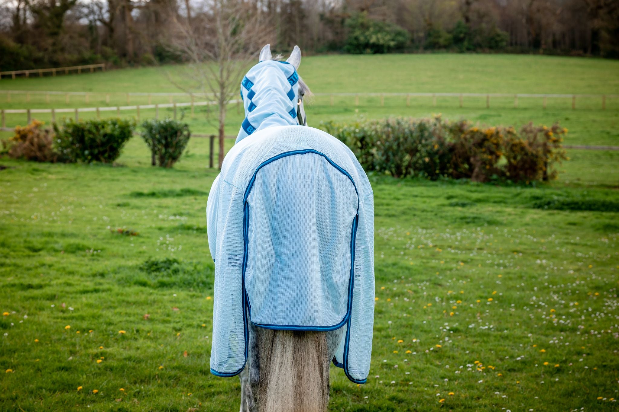 Horseware Amigo® Bug-Buster Sheet Azure/blue