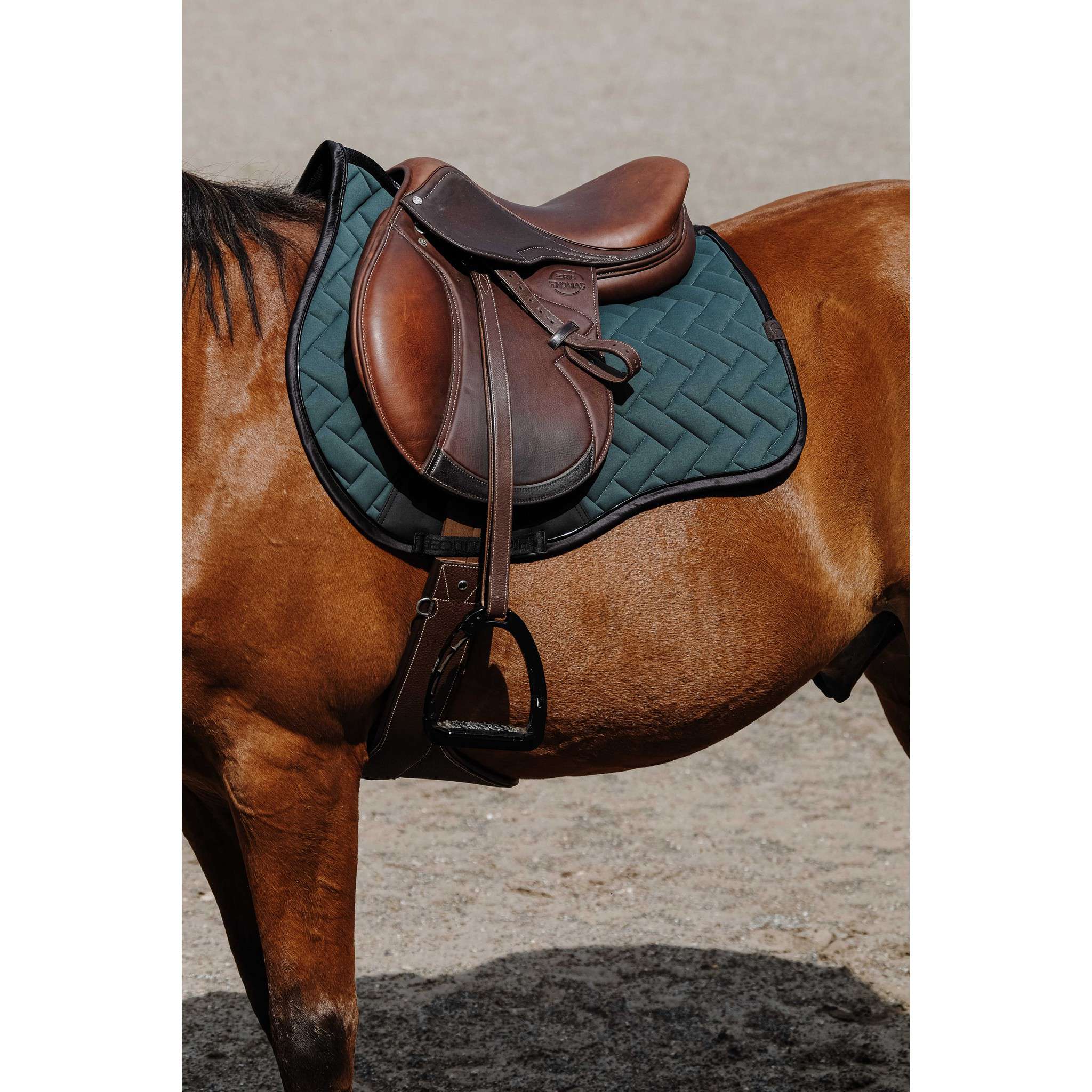 EQUITHÈME Impulsion Saddle Pad - All purpose Green 204006009