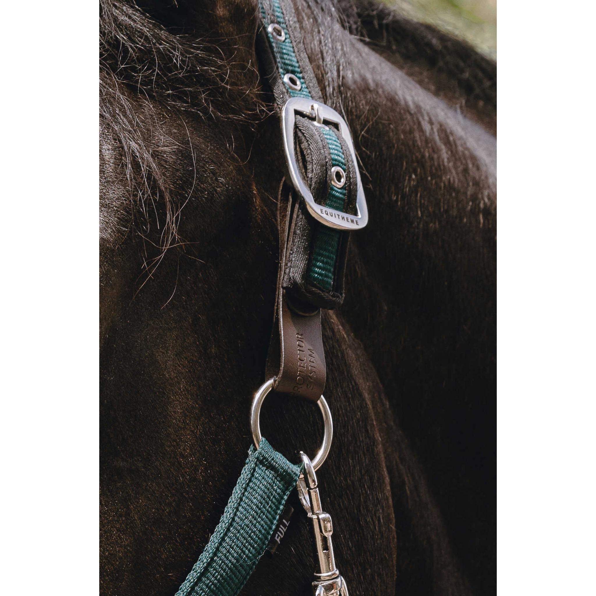 Safety Clip for EQUITHÈME Protector Halter chestnut brown 510263999