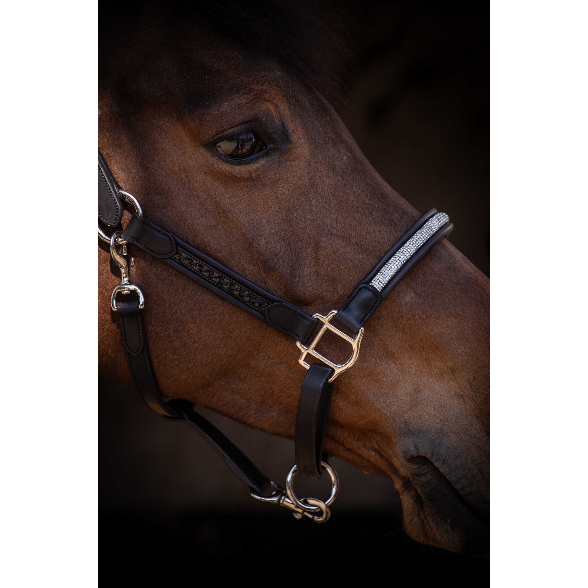 Pénélope Harmonie Halter Black 301611302