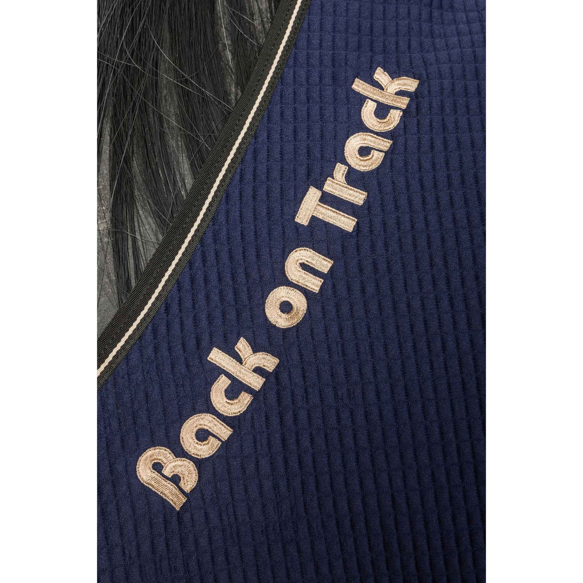 Back on Track Quick Cooler Drying Sheet - Blue - b21445845_zoom_3