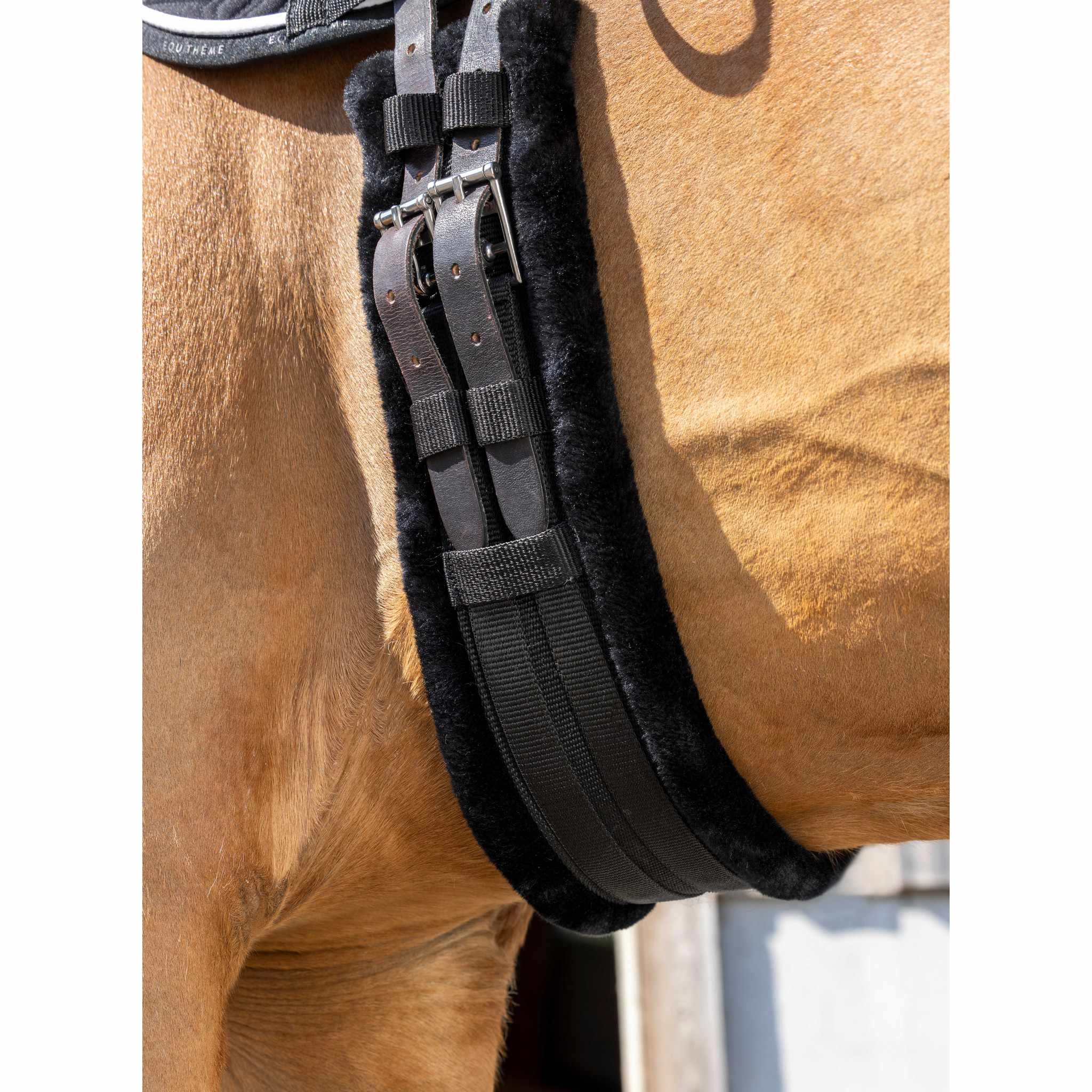 Norton Smooth Short Elastic Girth Black 203008270