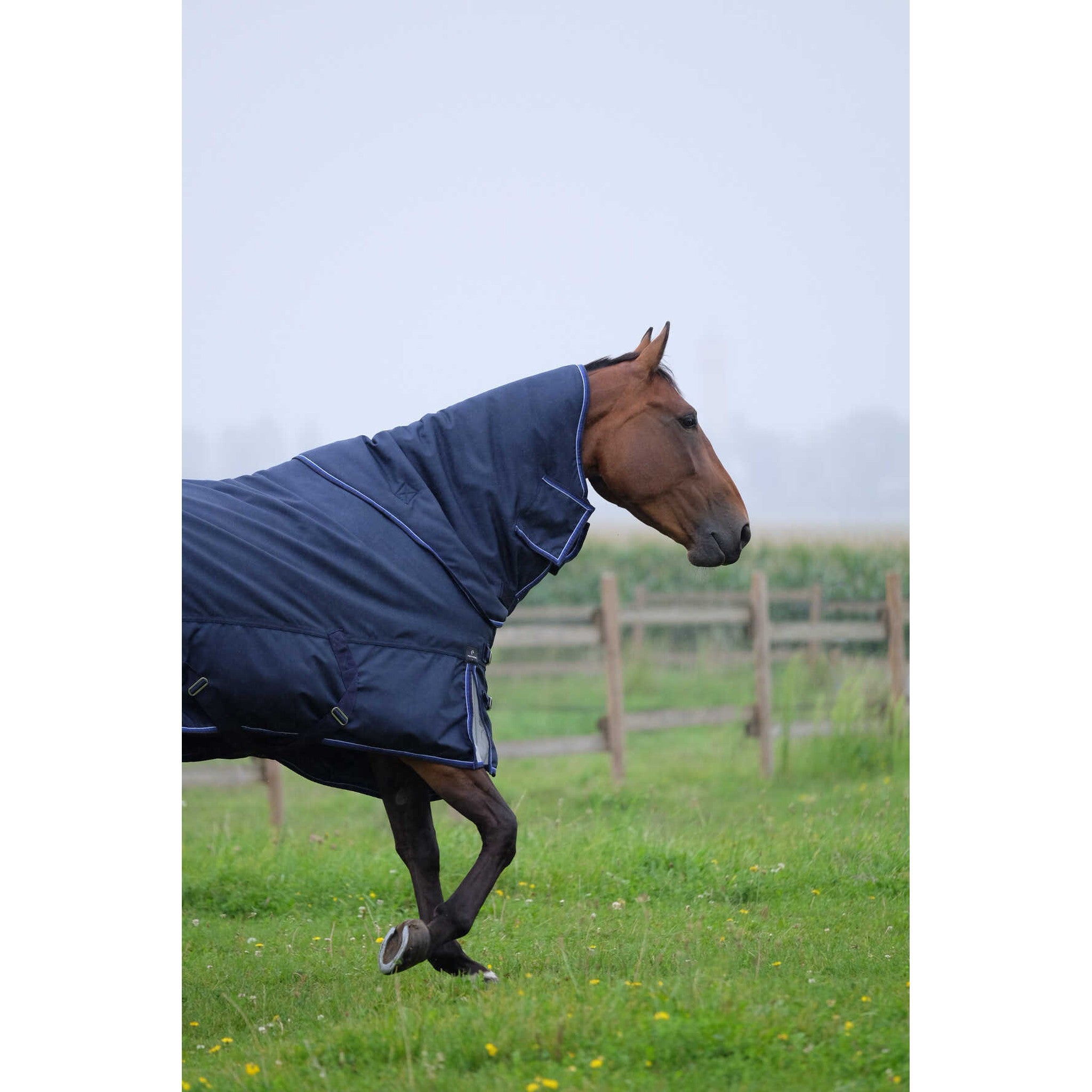 EQUITHÈME Tyrex 1680D Turnout rug - Detach a Neck Navy blue 400767063