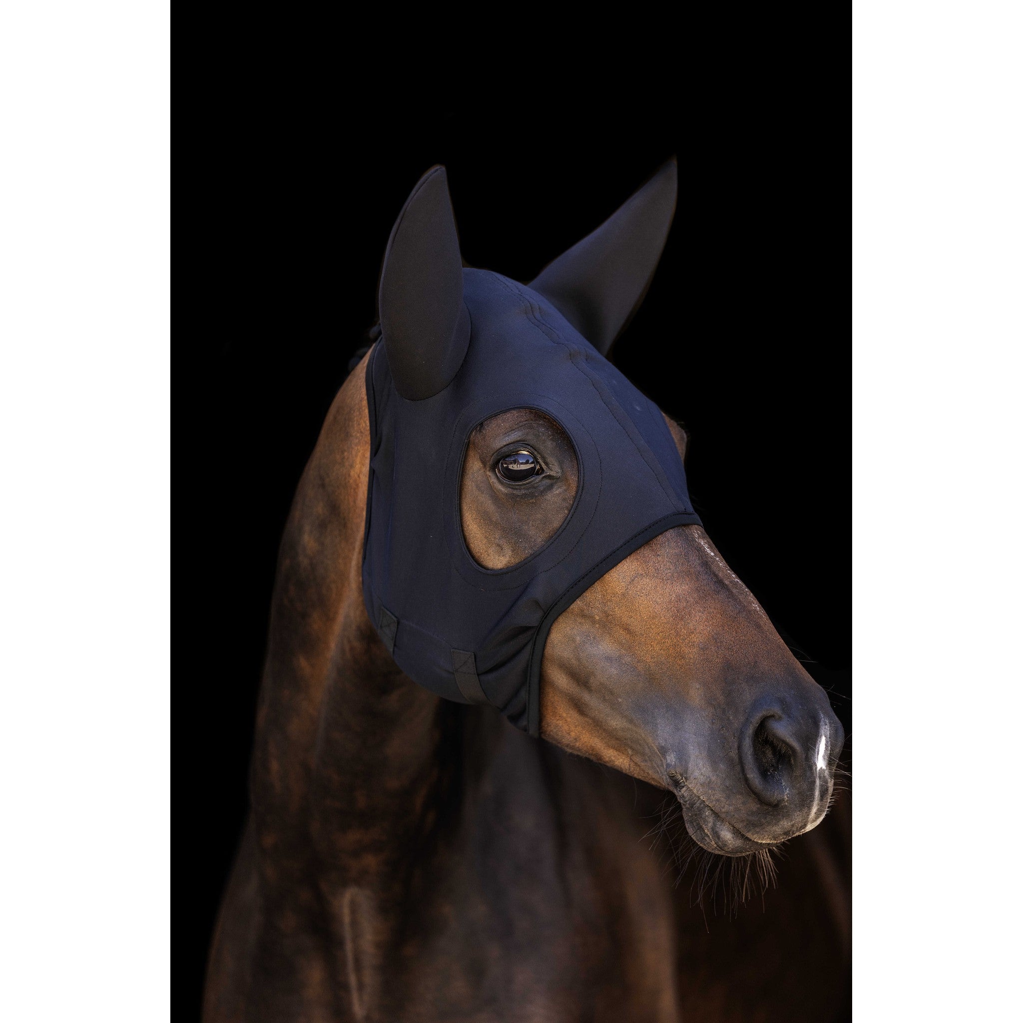 Lami-Cell Titanium Fly mask with ears Black 320027202