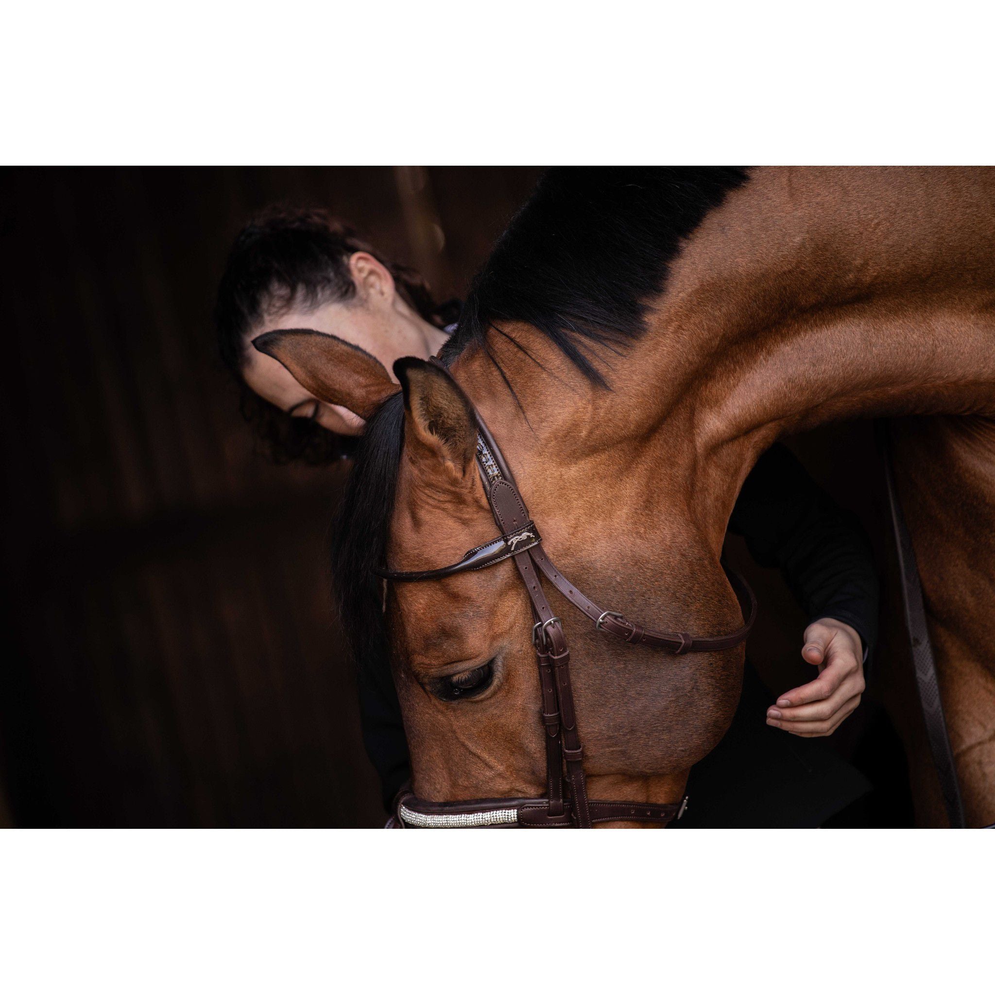 Pénélope Symphonie Bridle Havana 301612318