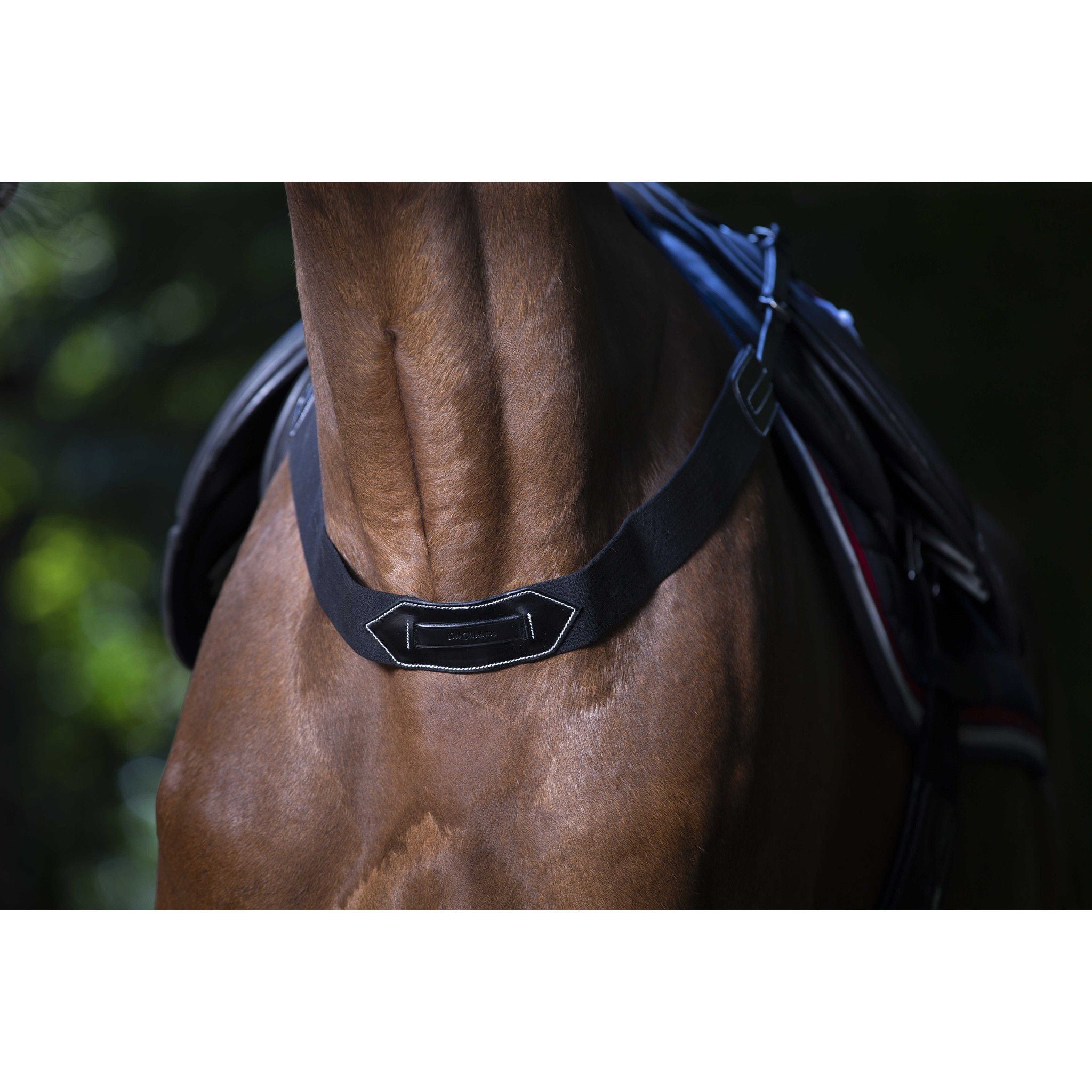 Éric Thomas Pro elastic breastplate Black 307620002