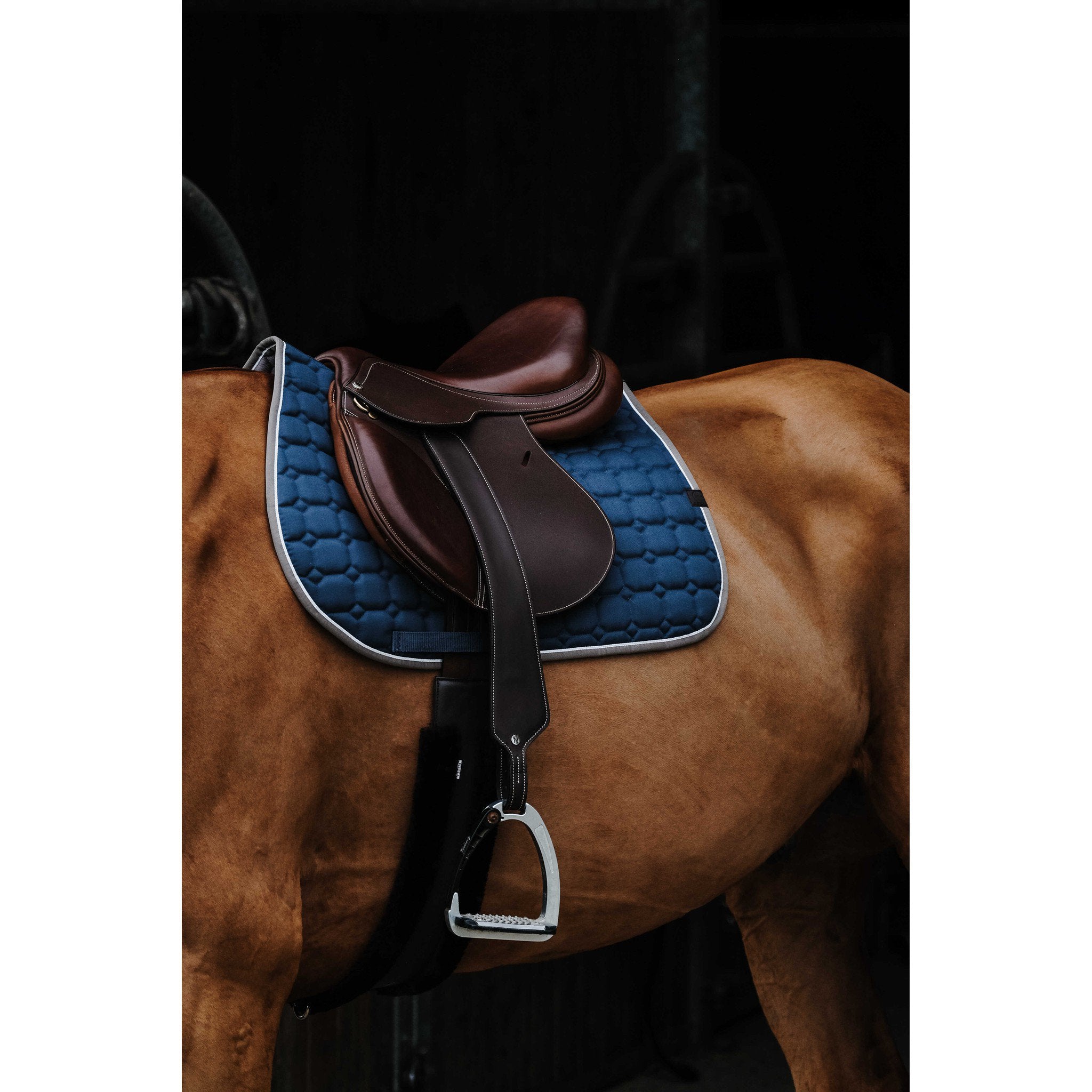 EQUITHÈME Orion saddle pad - All purpose Peacock blue 204774040