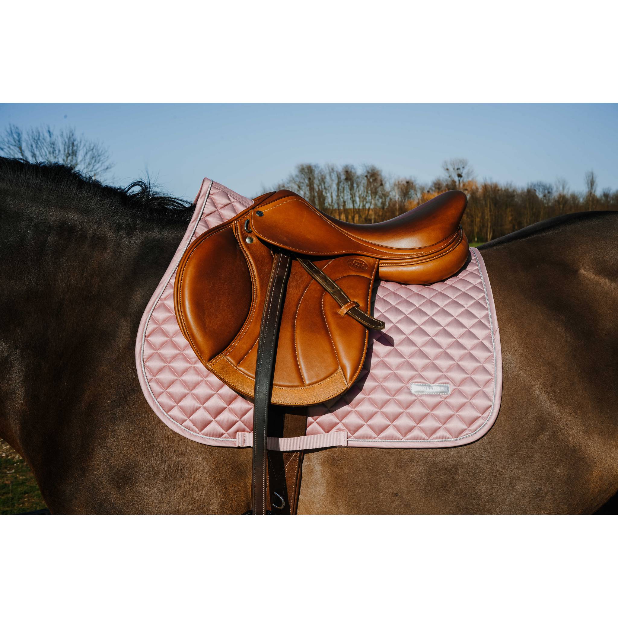 EQUITHÈME All-Purpose Saddle Pad - Mother of Pearl Pink - 204029013_ambi_1