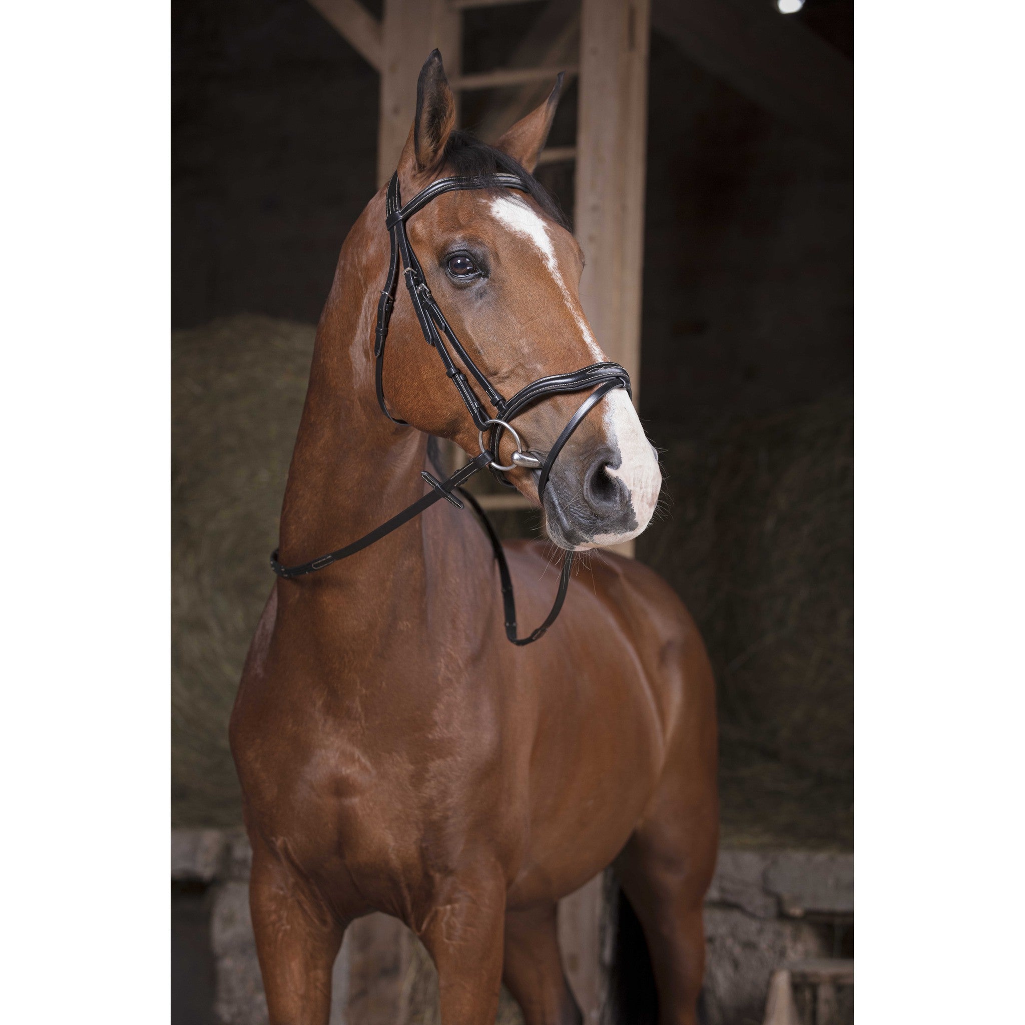 Norton Pro Supergrip reins Black 305615002