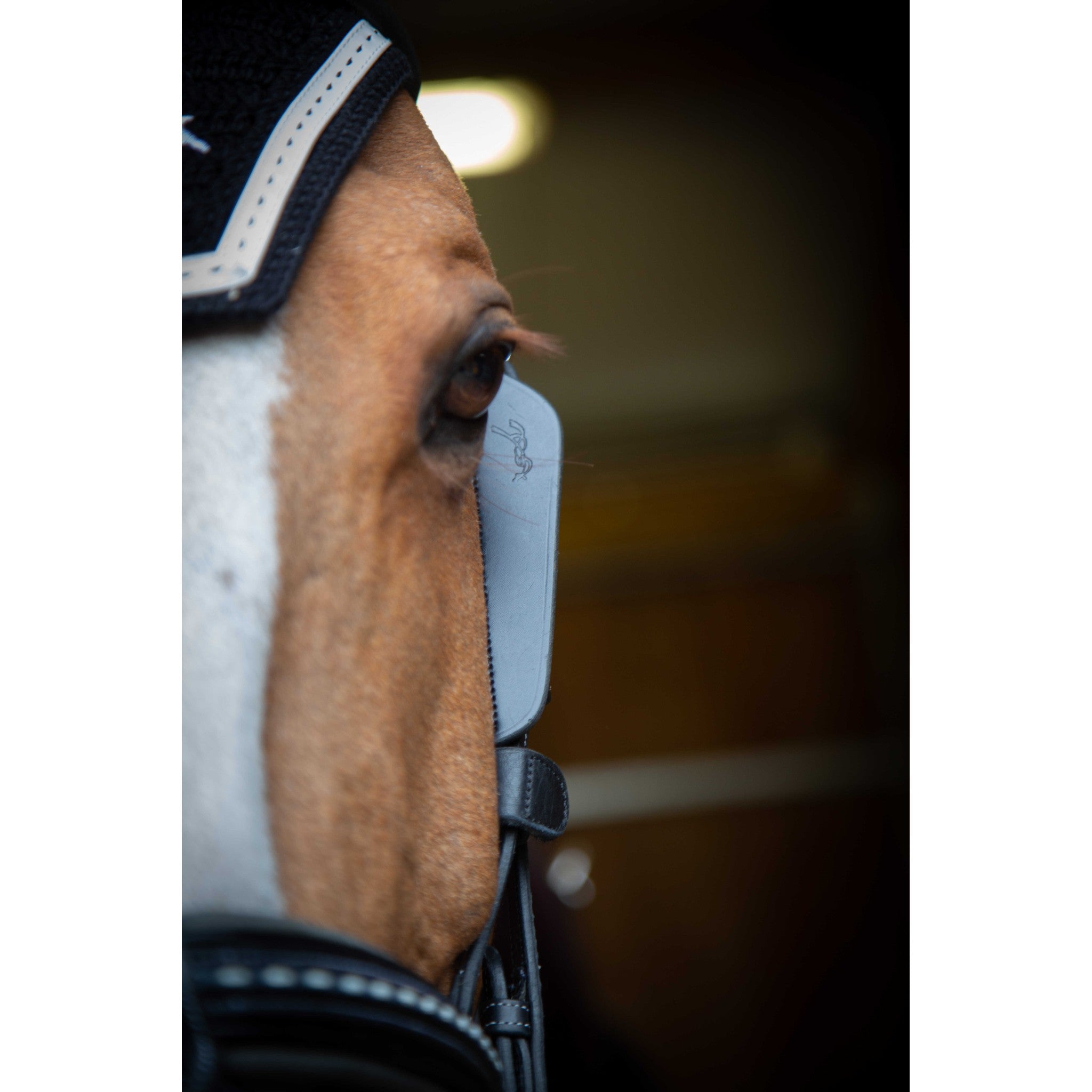 Pénélope Blinkers Black 304399002