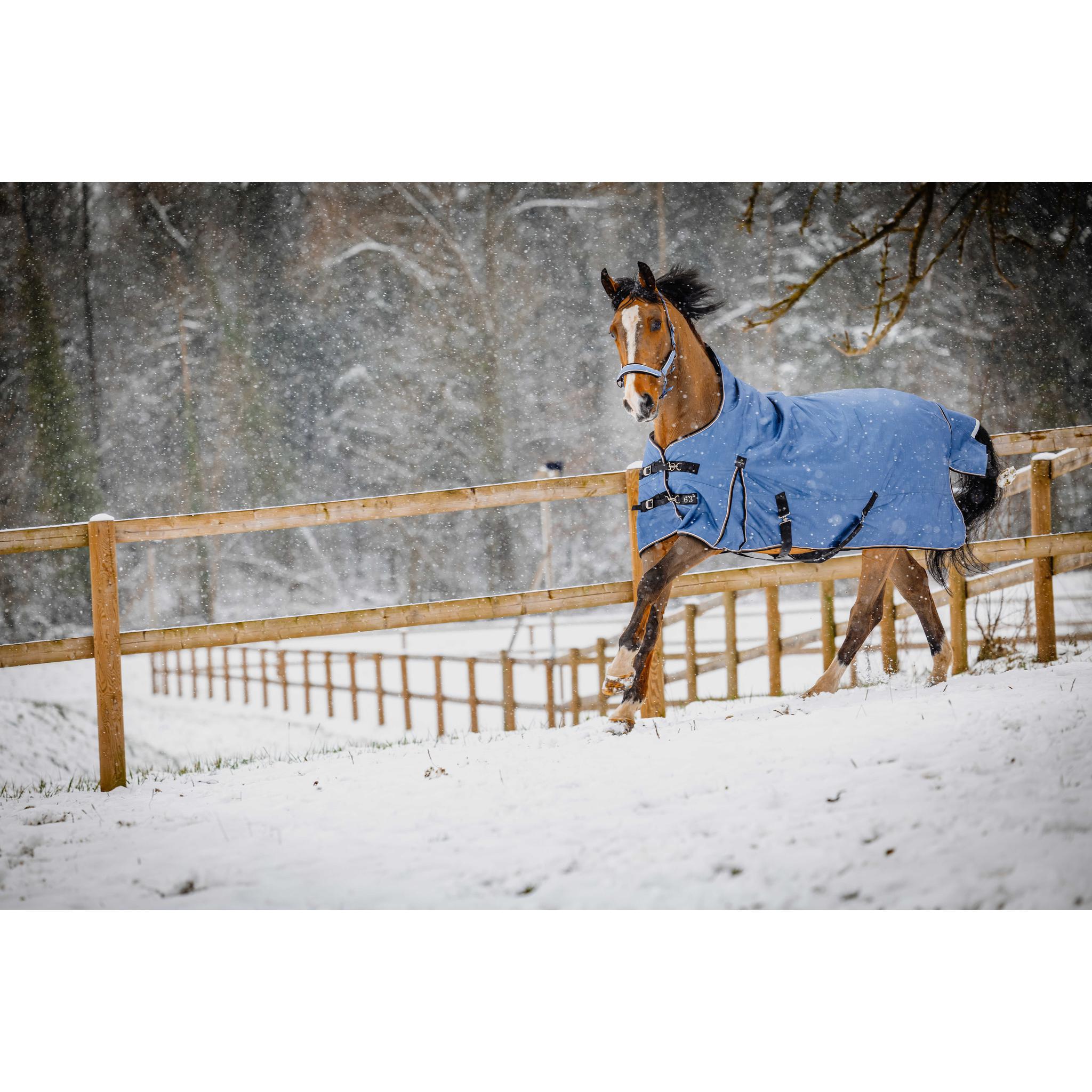 EQUITHÈME TYREX 1200D High Neck Horse Blanket Cobalt Blue - 400600470_ambi_14