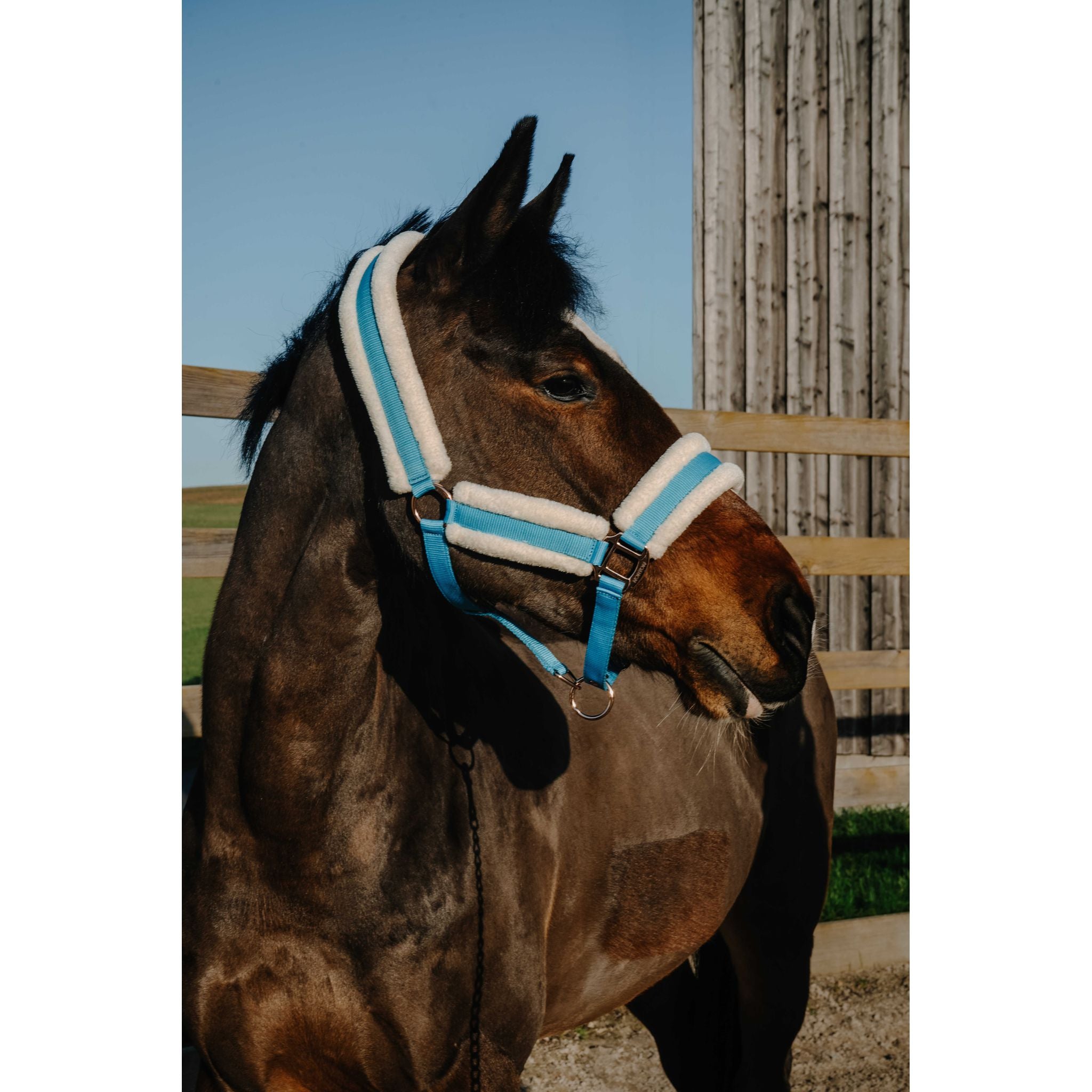 NORTON Comfy Halter Royal blue - 510280306_ambi_1