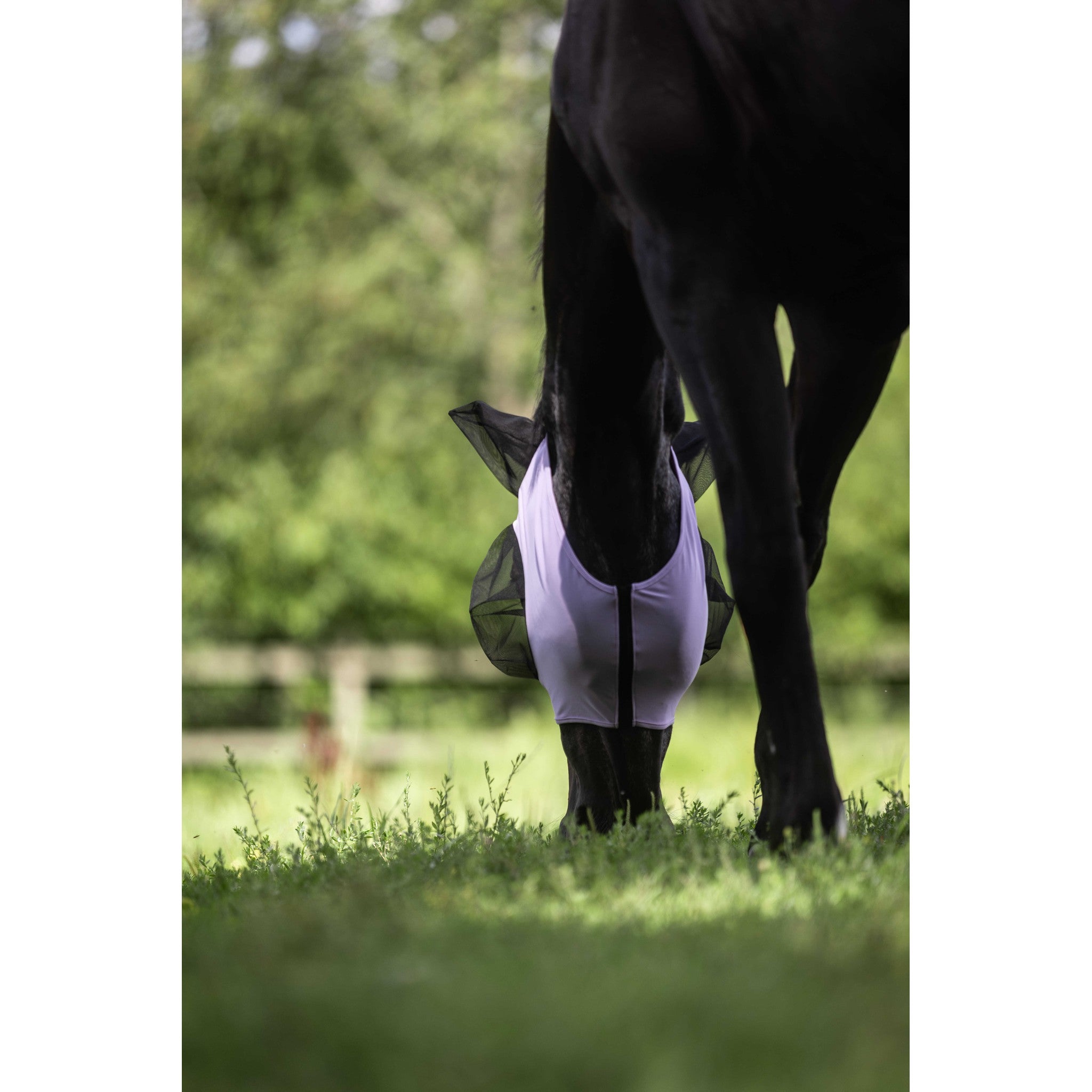 LAMI-CELL Lycra Fly Mask Lilac - 306046216_ambi_3