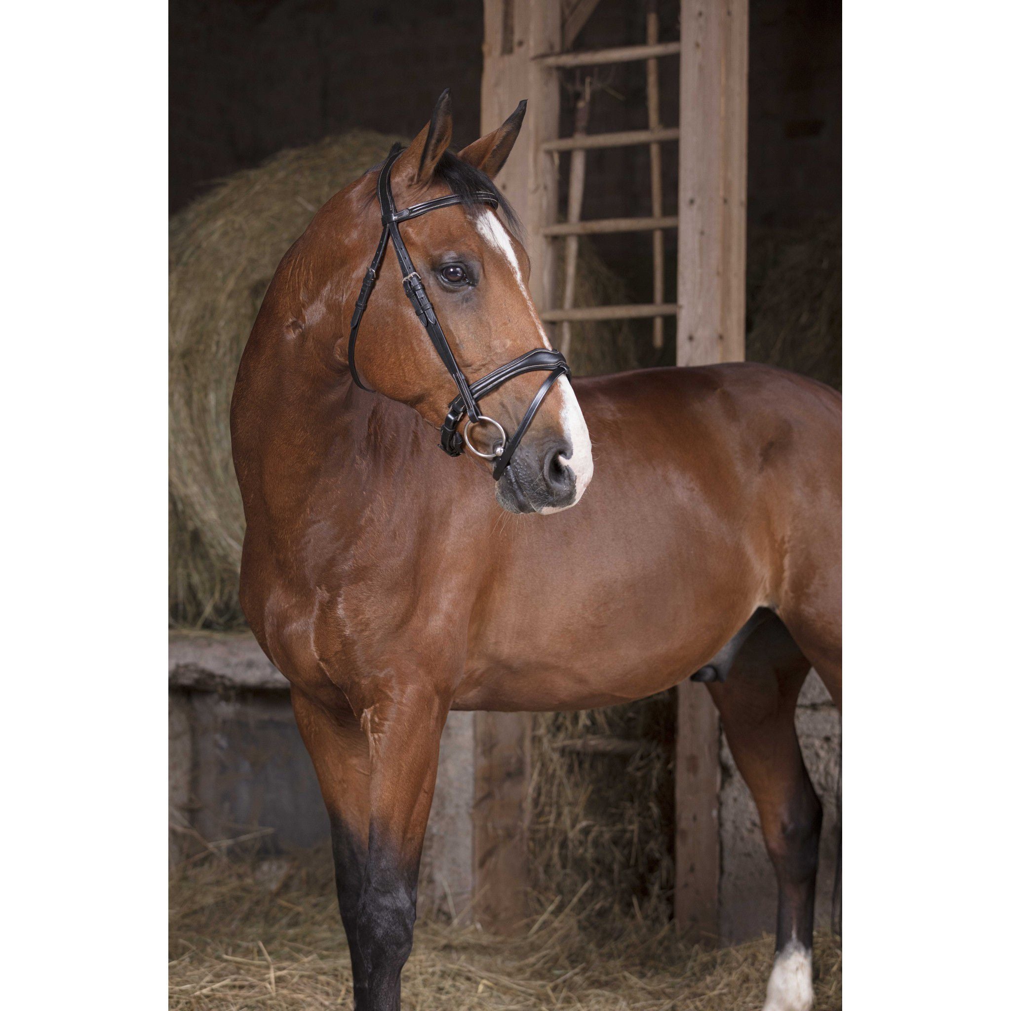 Norton Pro Bridle Wave Black 301832302