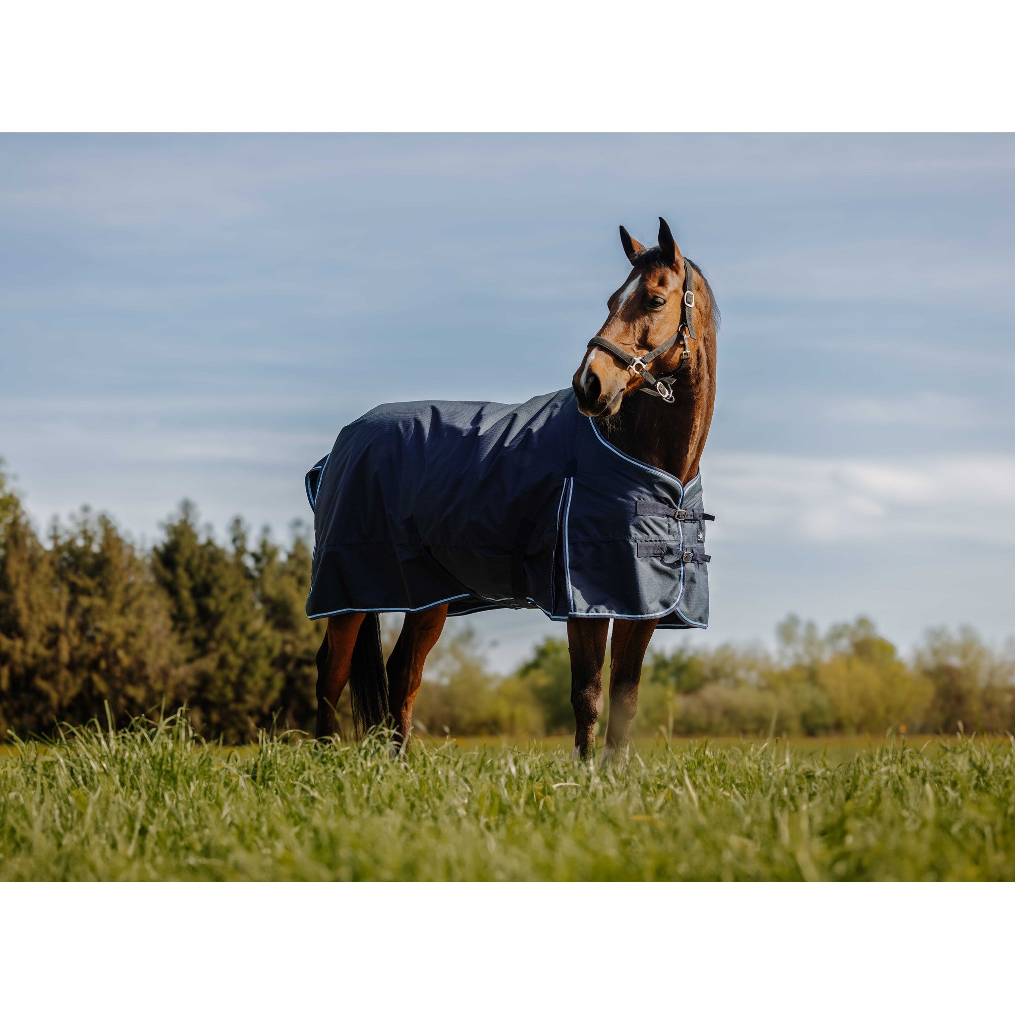Riding World Eco 600D Rug - Standard Navy blue 400896763