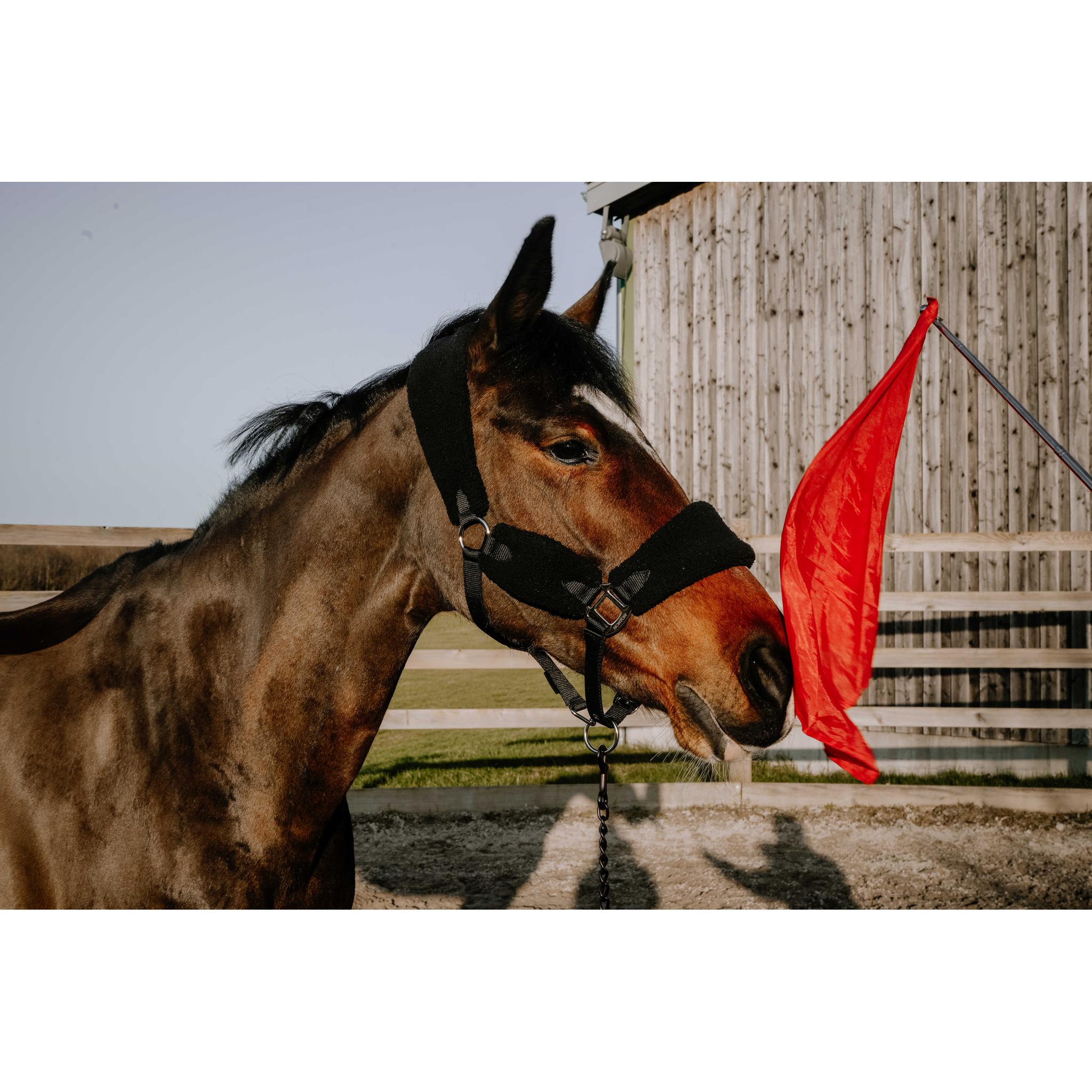 HIPPO-TONIC Desensitization Flag Red - 704170003_ambi_3