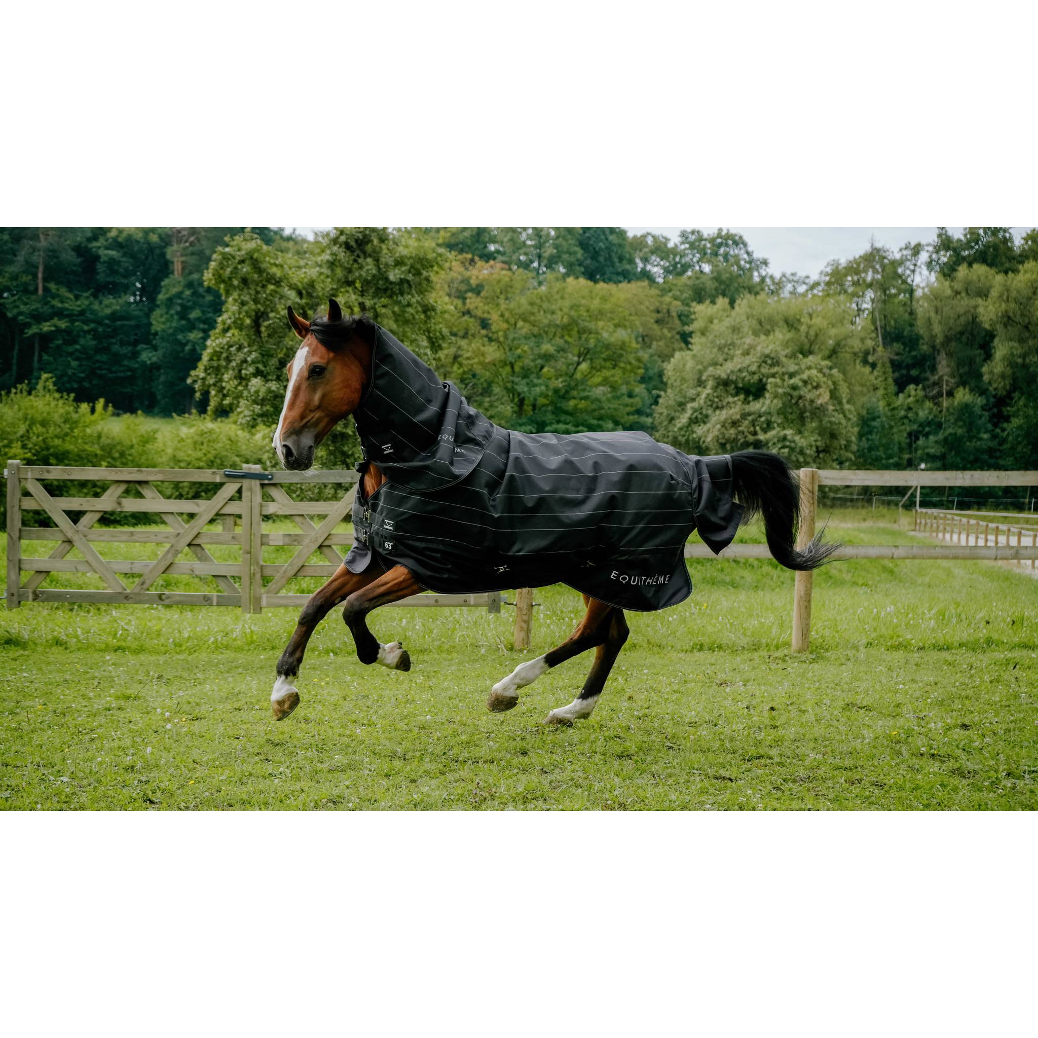 EQUITHÈME Tyrex 600D Lumin Turnout Rug - Standard Black - 400589059_ambi_2
