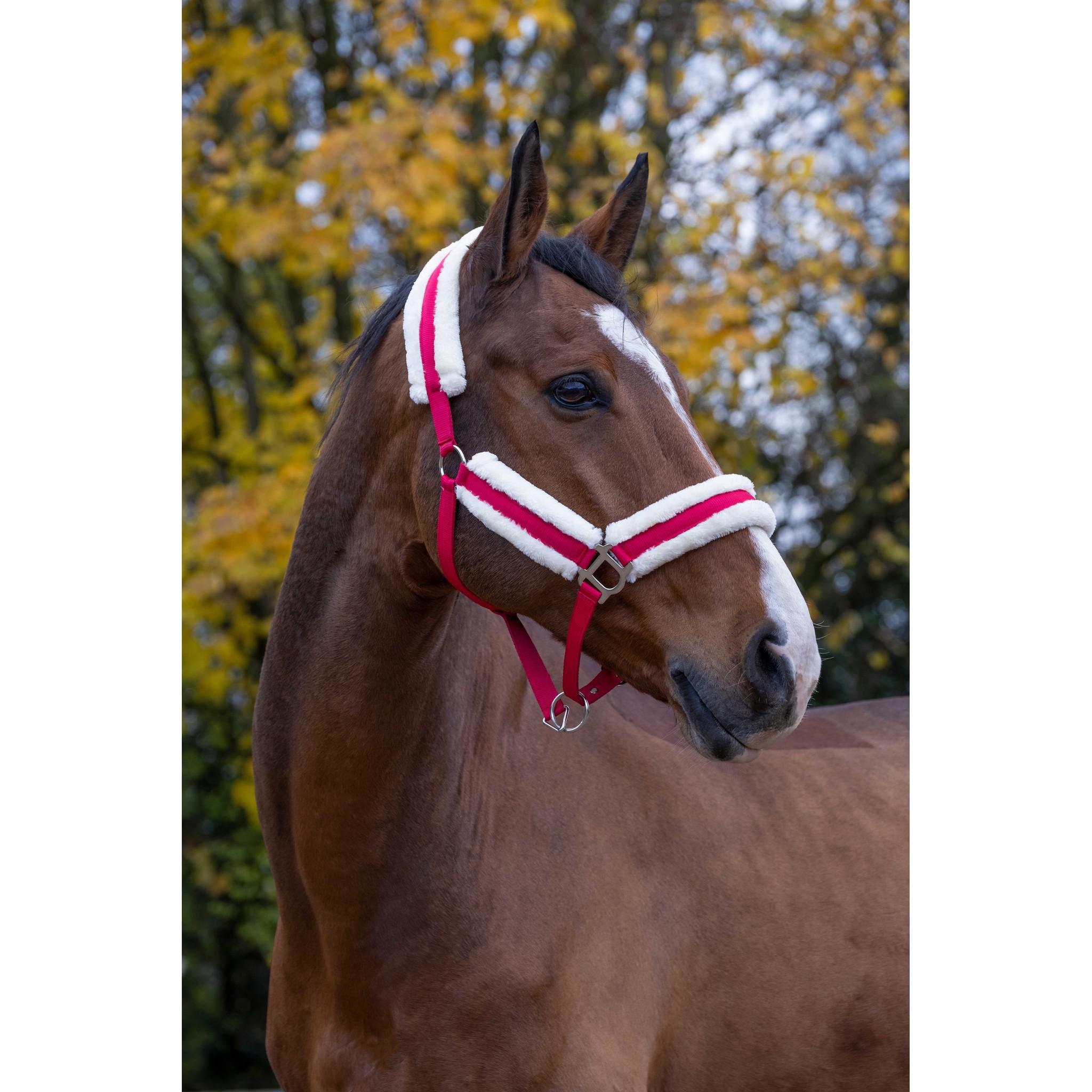 Norton Confort Halter Raspberry 510016335