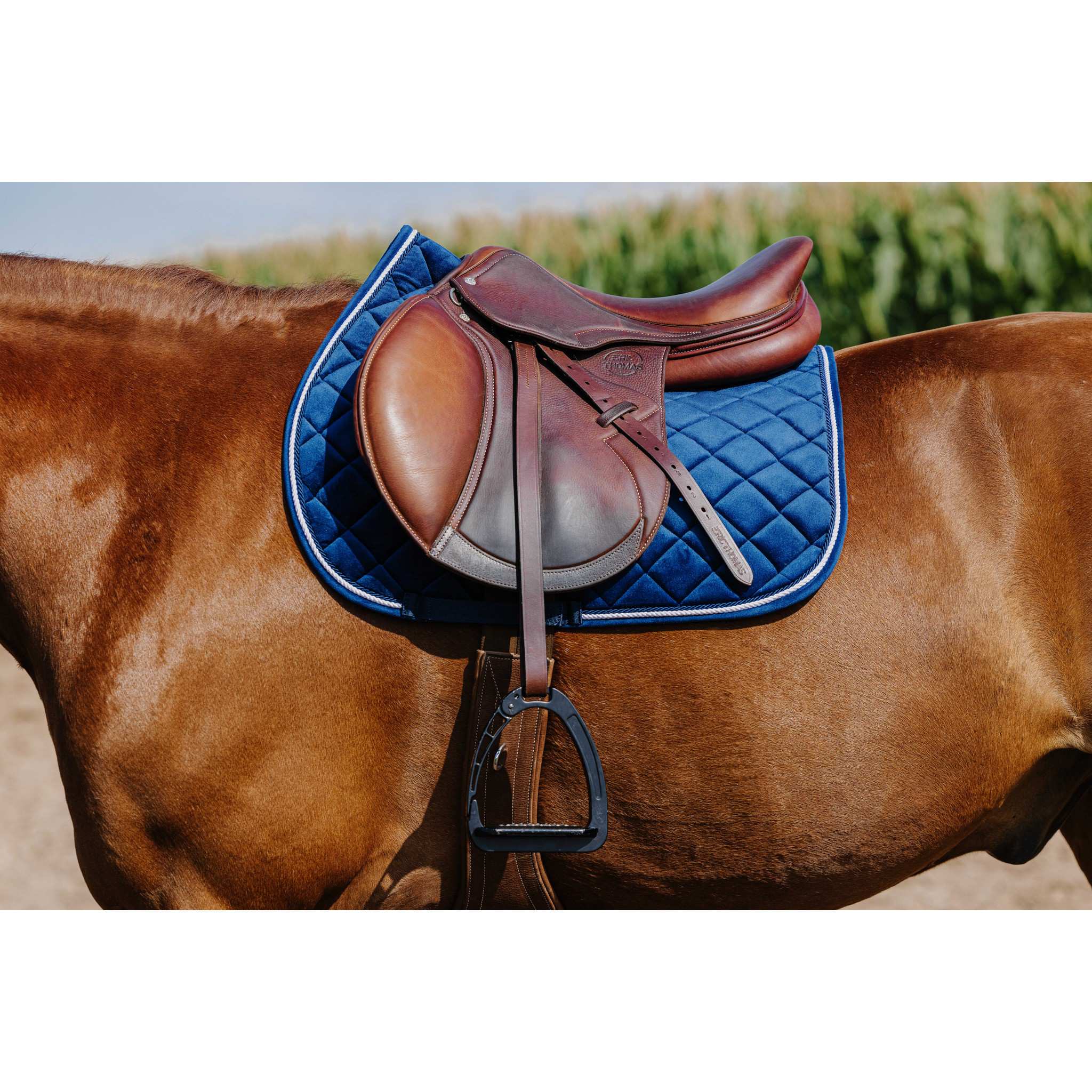Riding World Velours saddle pad - All purpose Navy blue 204059007
