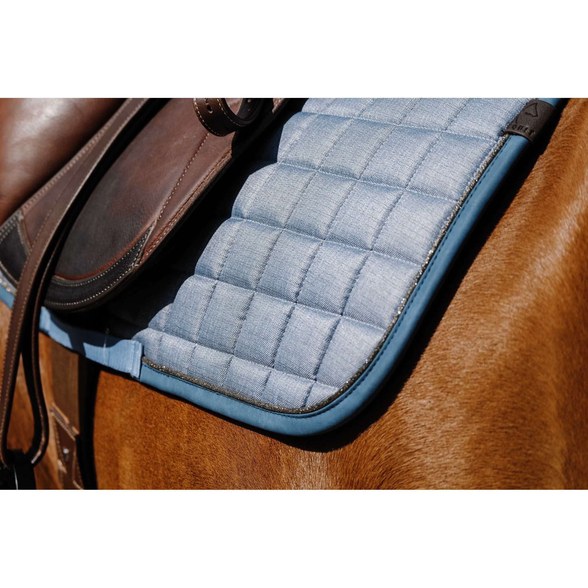EQUITHÈME Chic saddle pad - All purpose Blue 204001006
