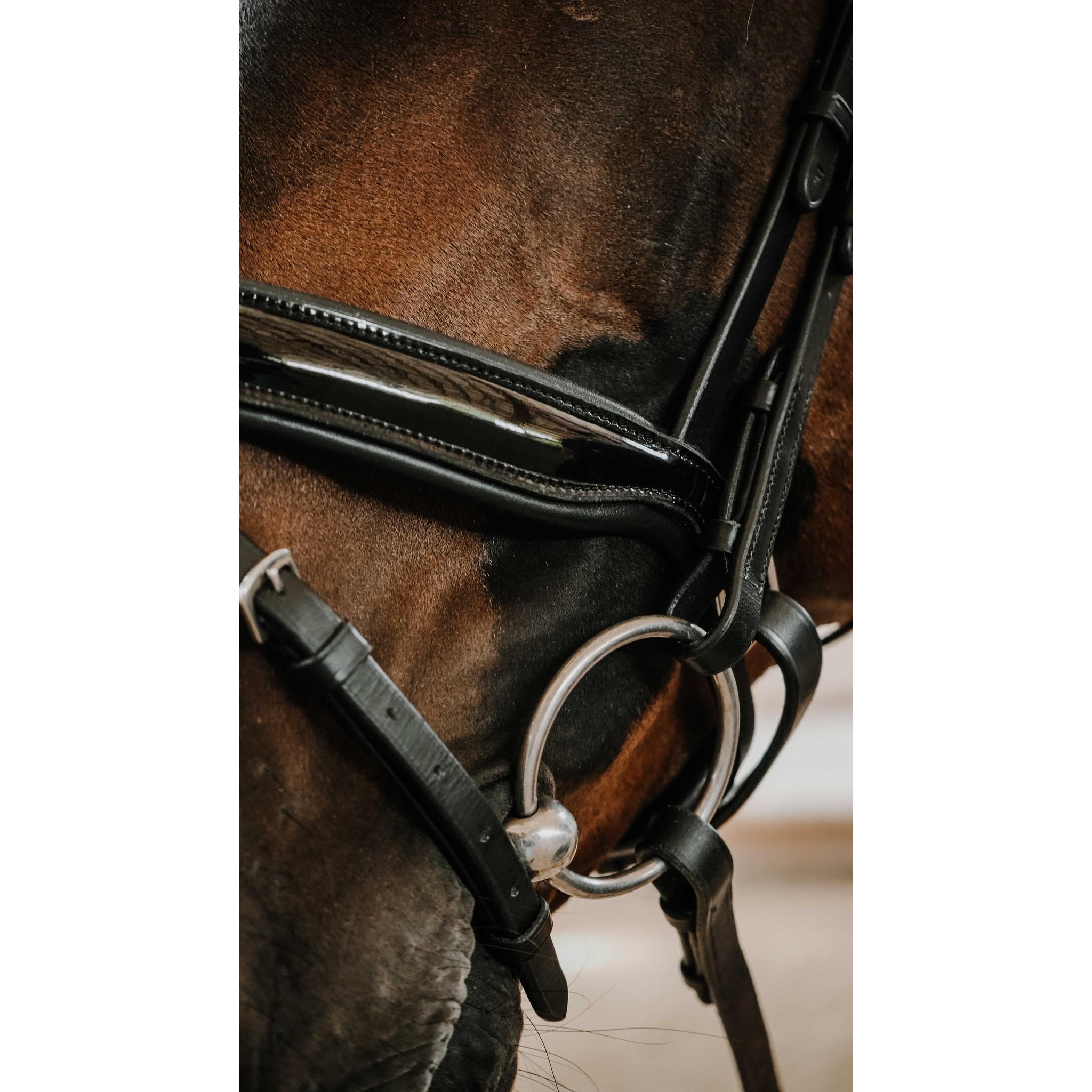 Norton Pro Royal Bridle Black 301842302