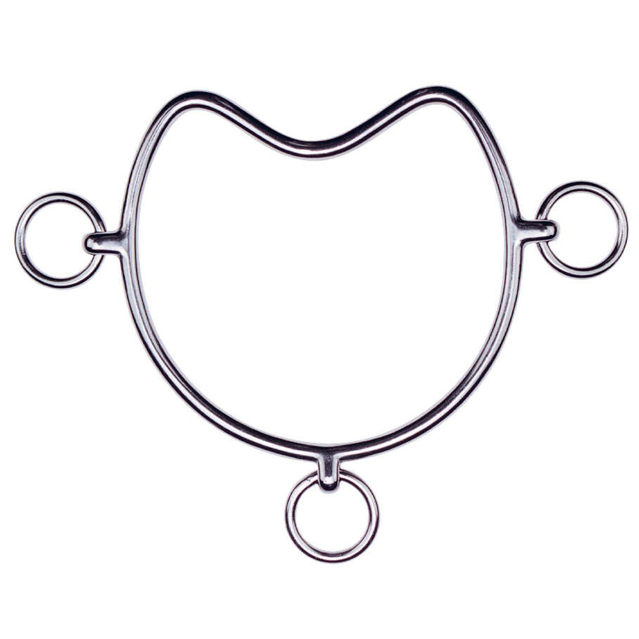 Chifney Bit 606654140