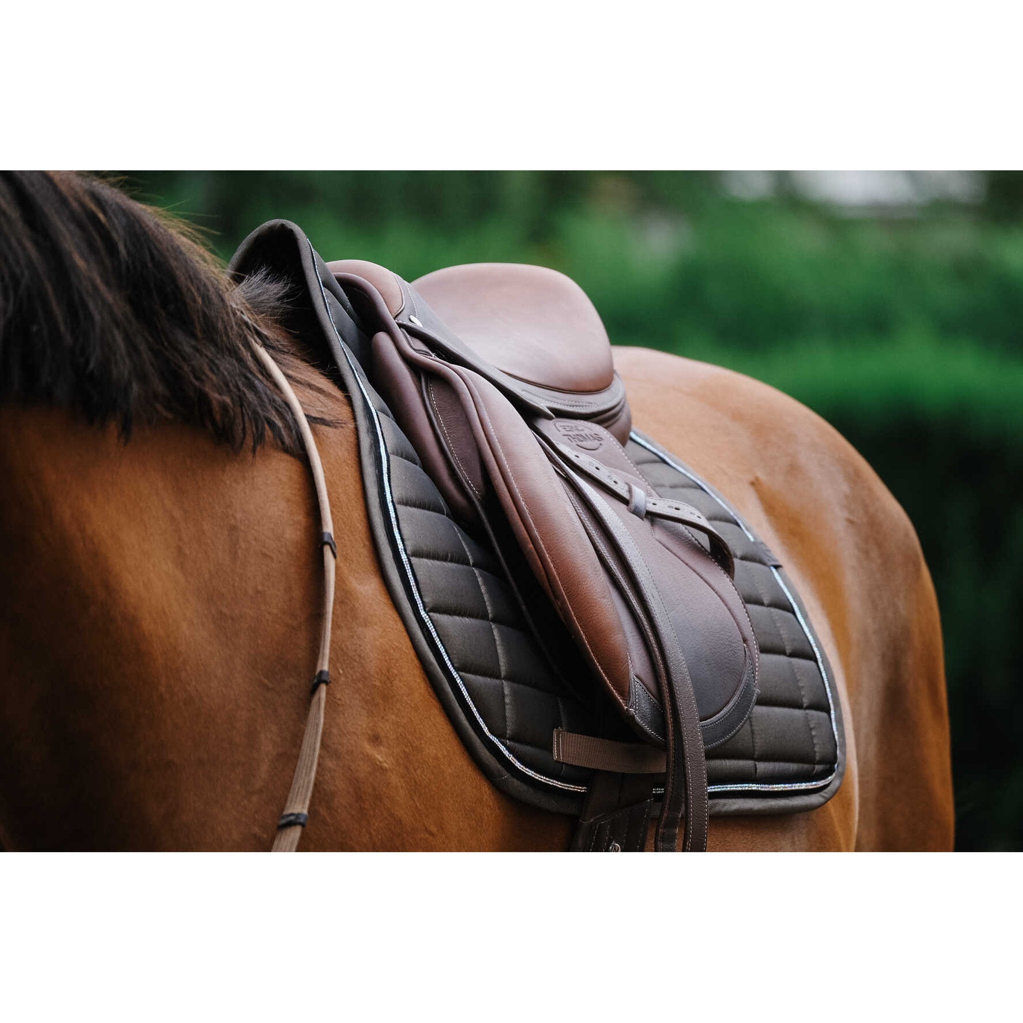 EQUITHÈME Domino All-Purpose Saddle Pad Coppery - 204782005_ambi_6