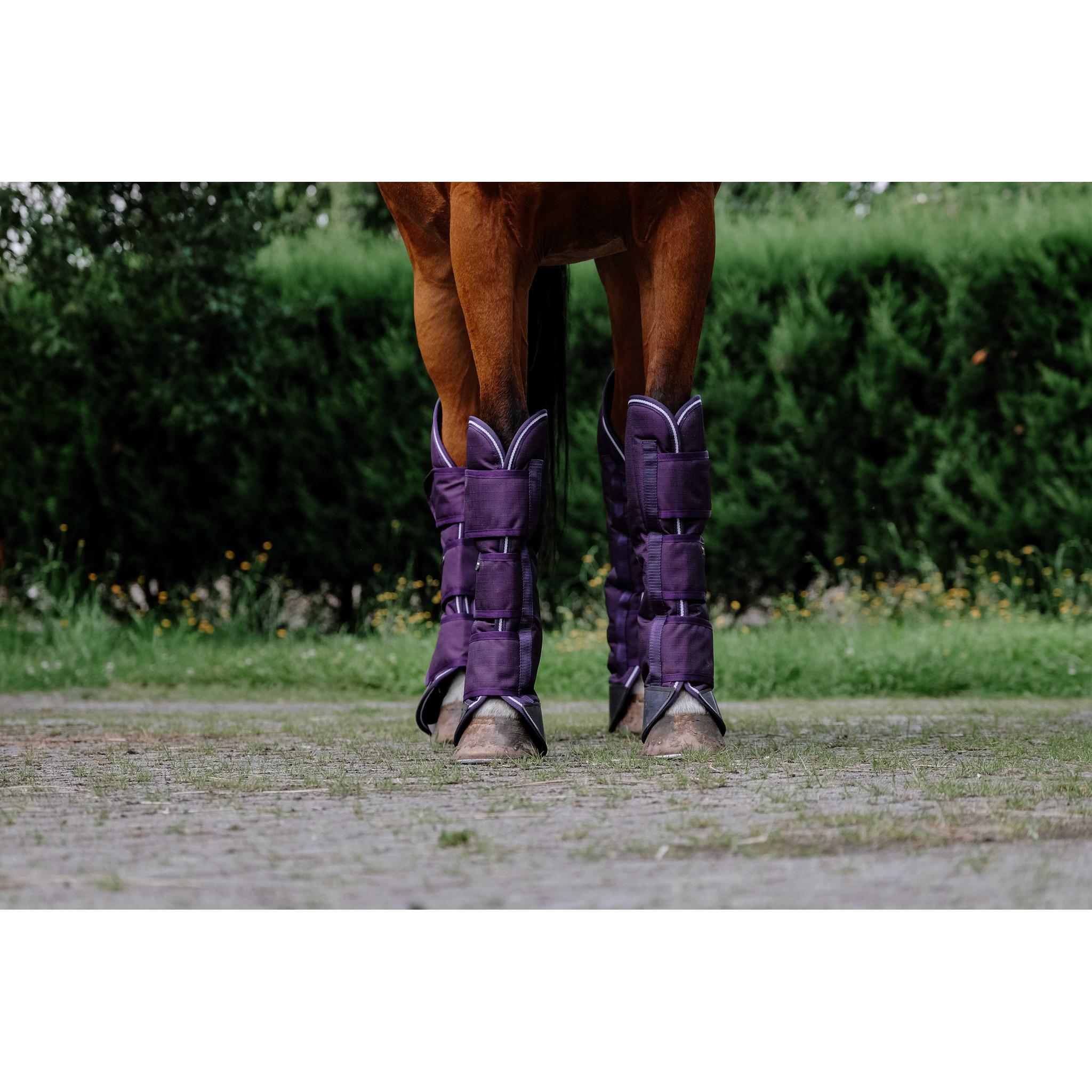 EQUITHÈME Tyrex 600D Travel Boots Plum 400569103