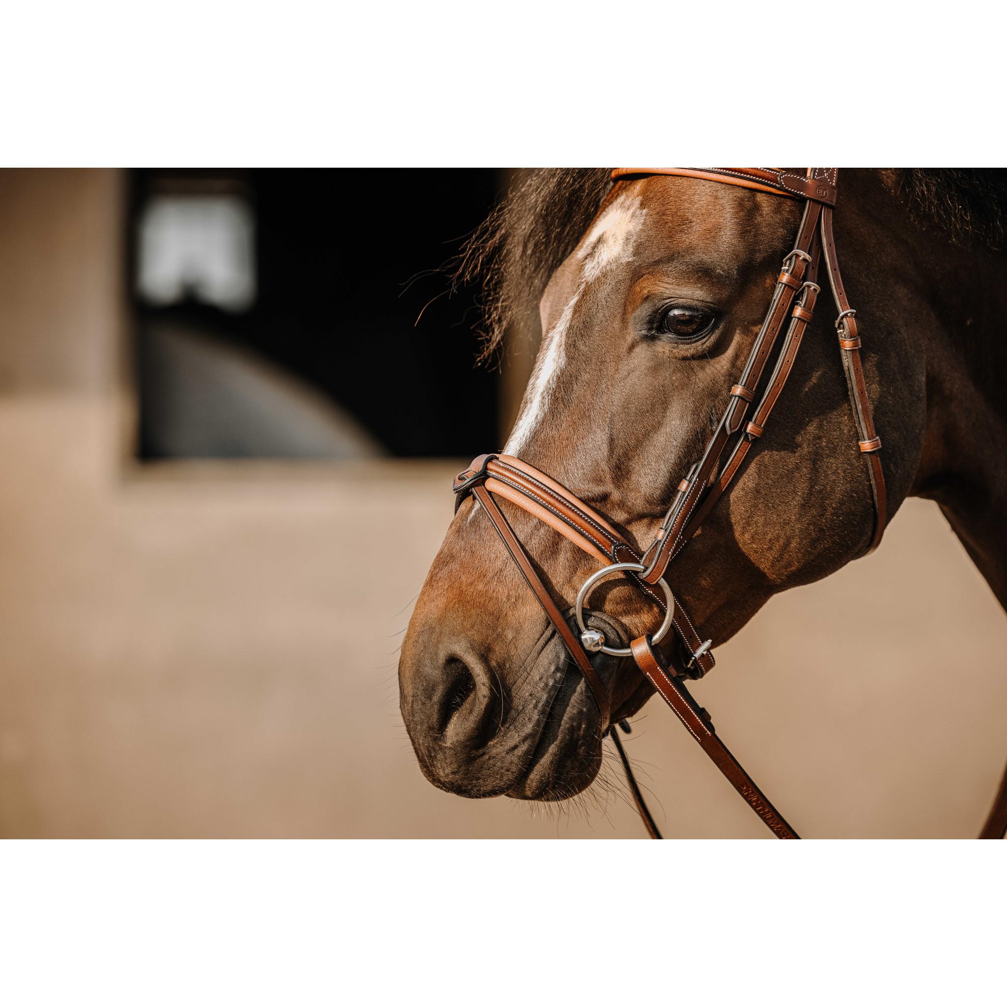 Éric Thomas Work Bridle Havana 301906318