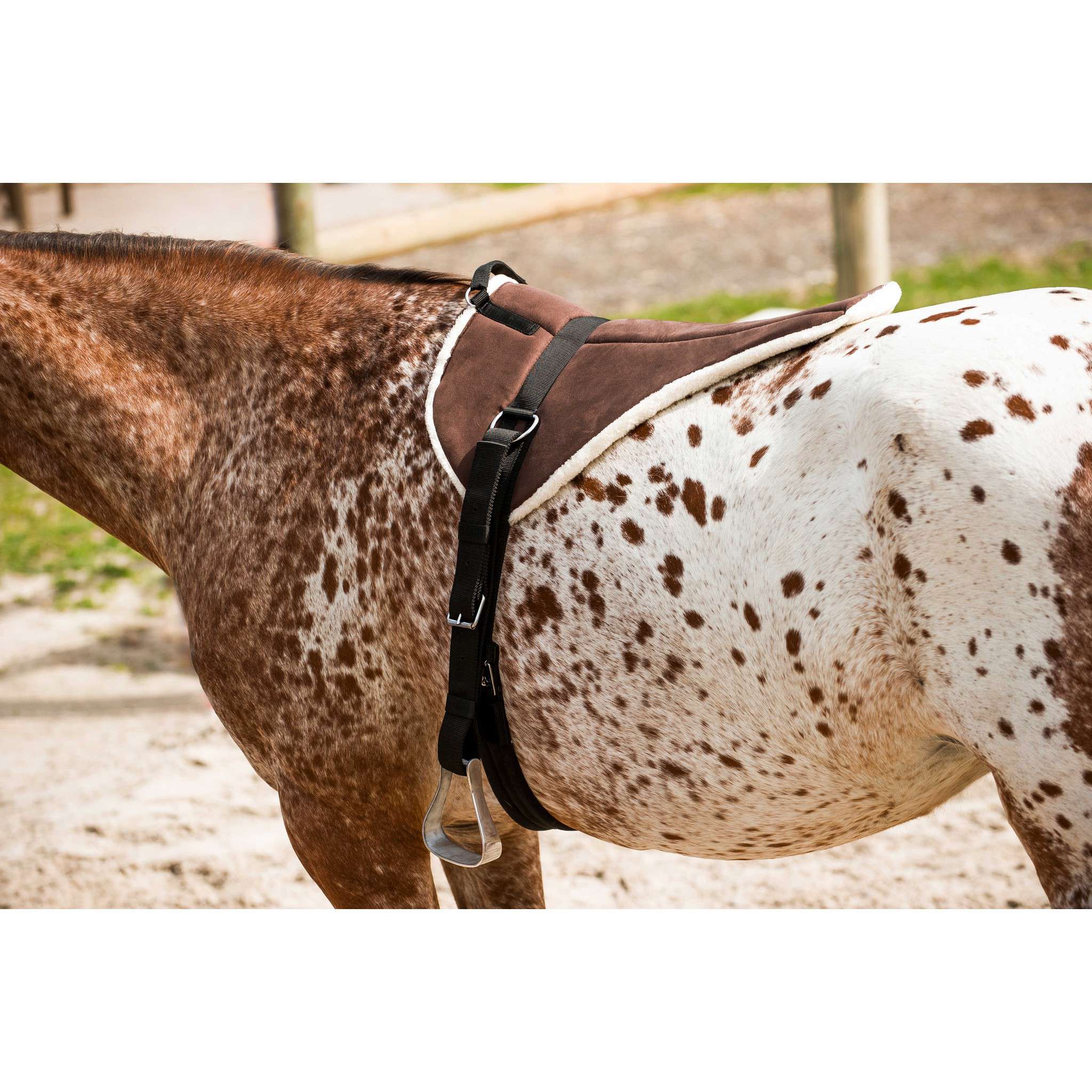 NORTON "Soft" bareback riding pad Brown 101051004