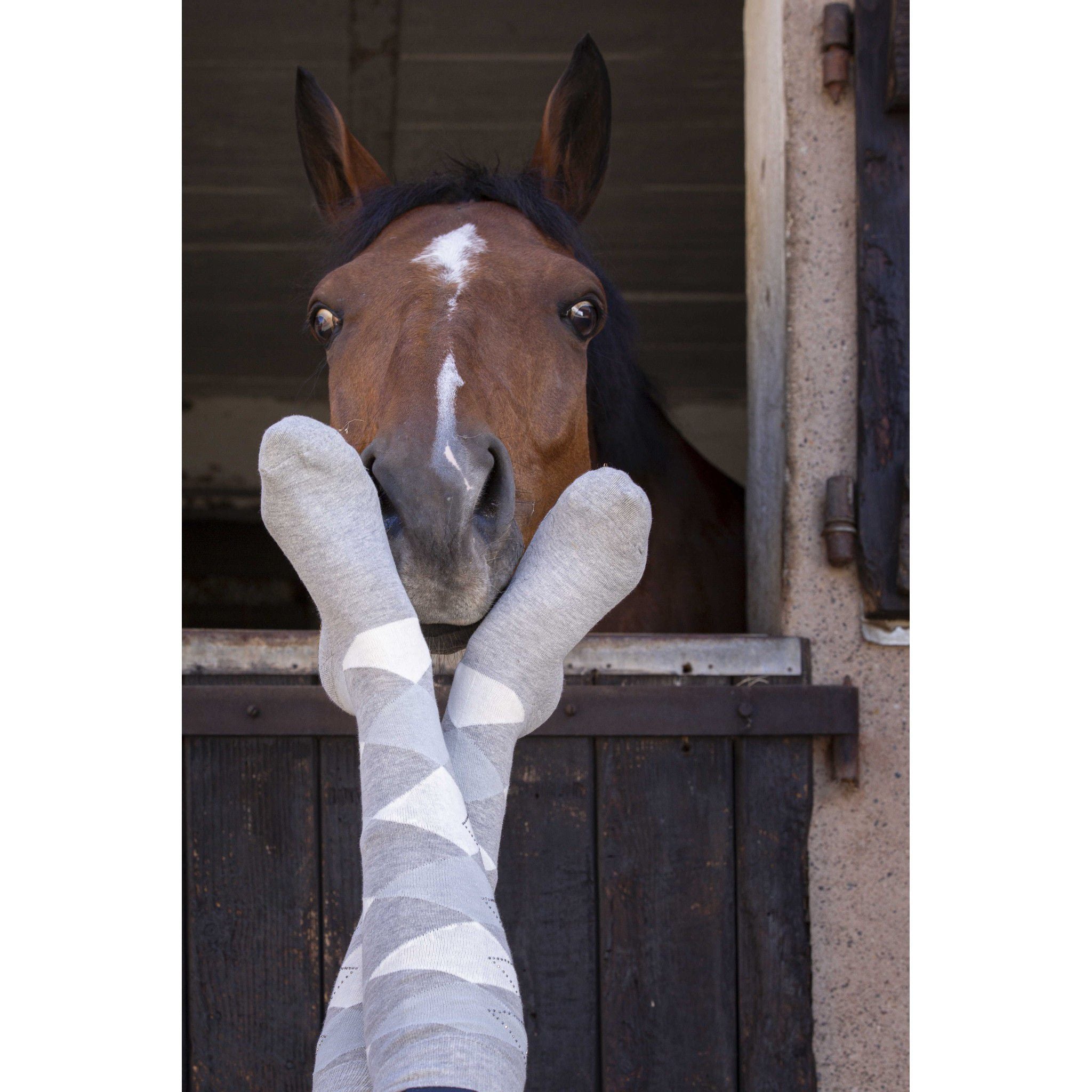 EQUITHÈME Girly Socks - Ladies Grey/light bue 986429112