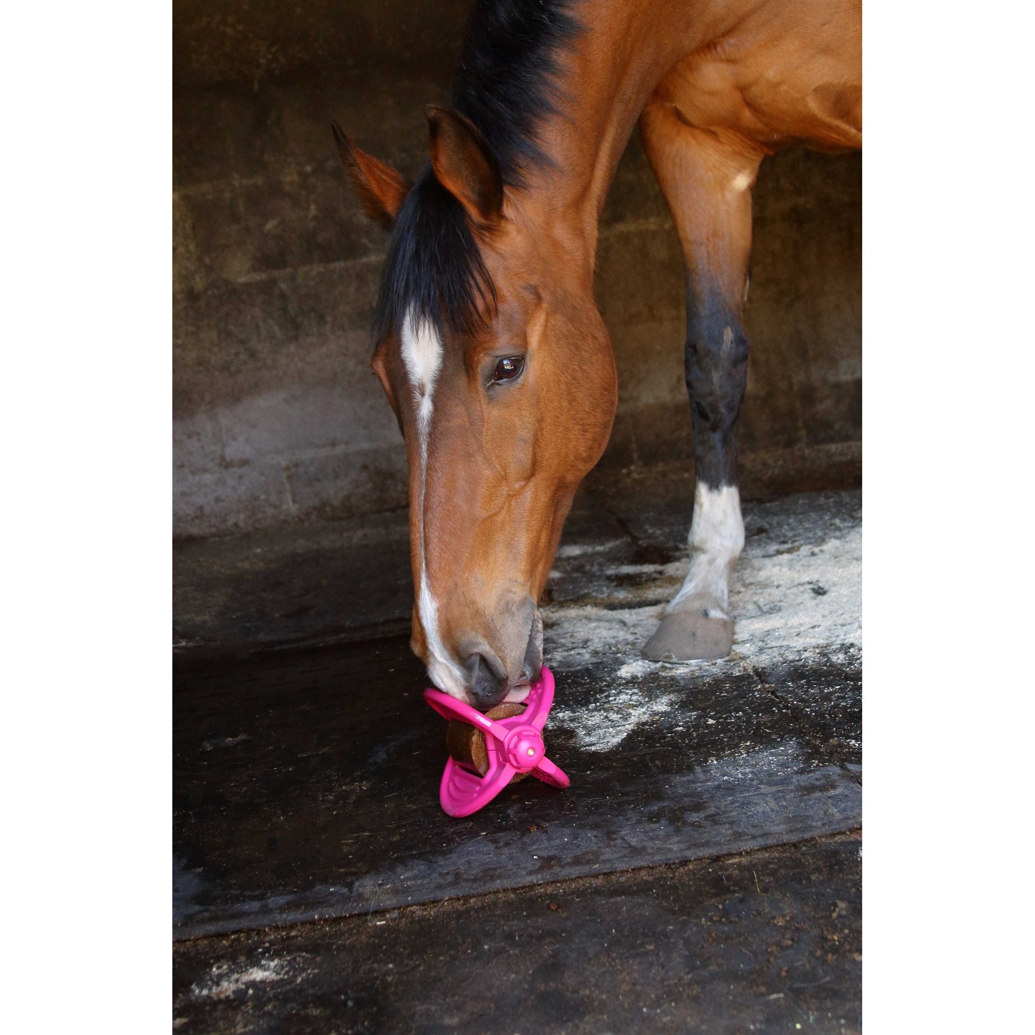 Bizzy Ball Holder Fuchsia - 380080052_ambi_6