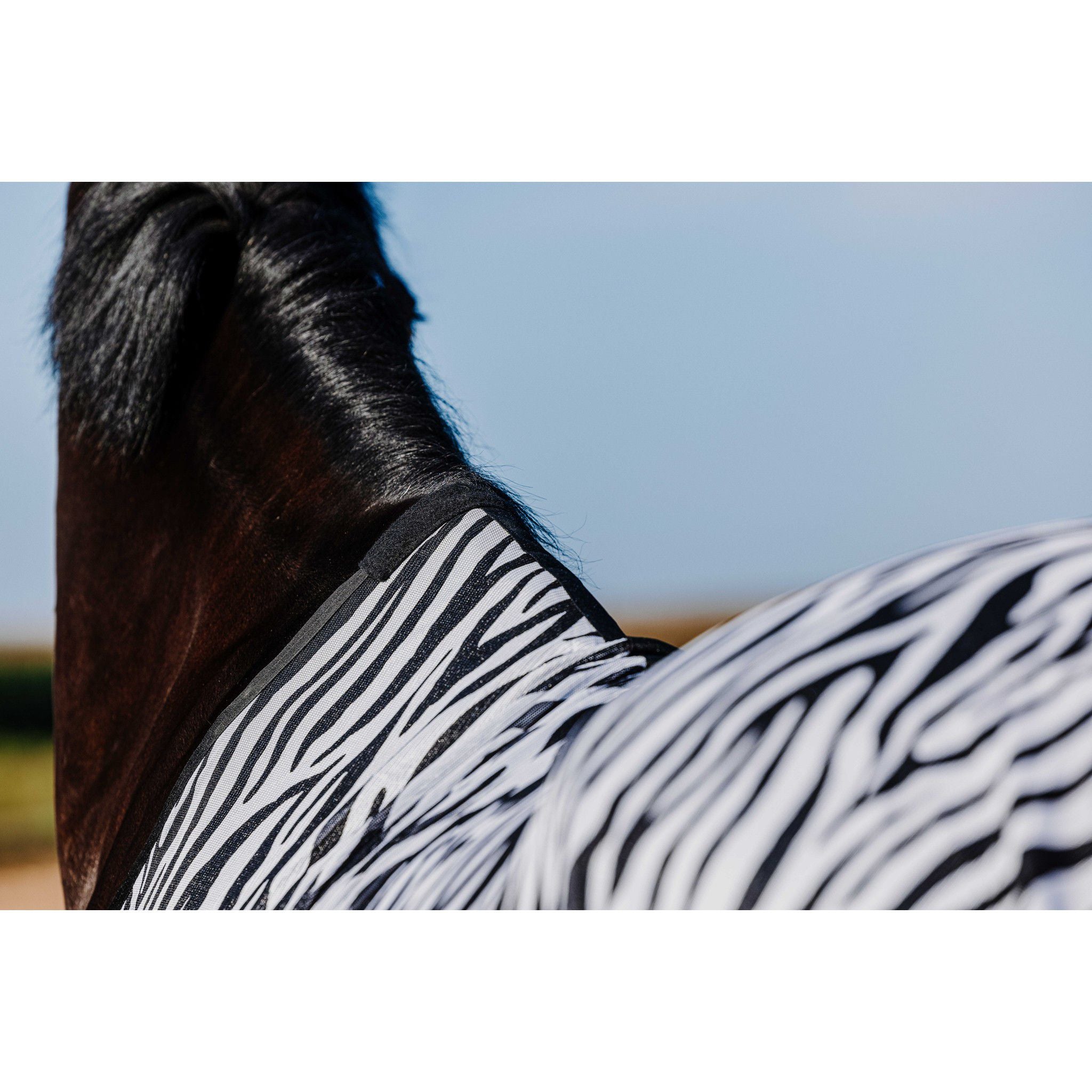 Riding World Belly Mesh Sheet - Standard Zebra 400725063