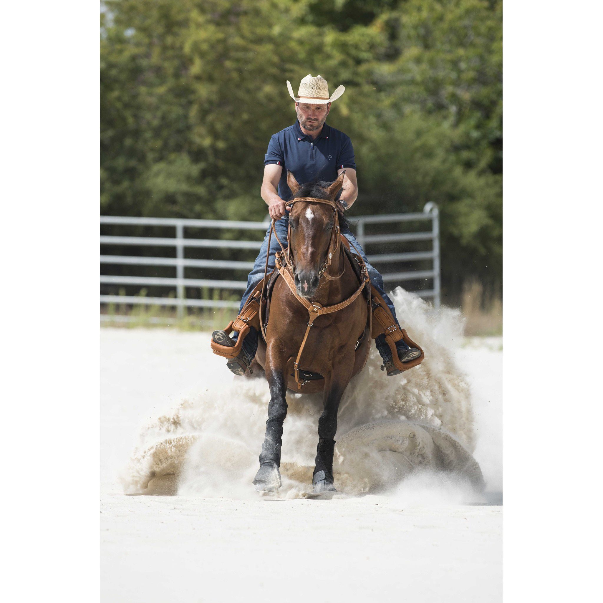 Westride Aurora Hunting Breastplate by Franck Perret Chestnut 802201317