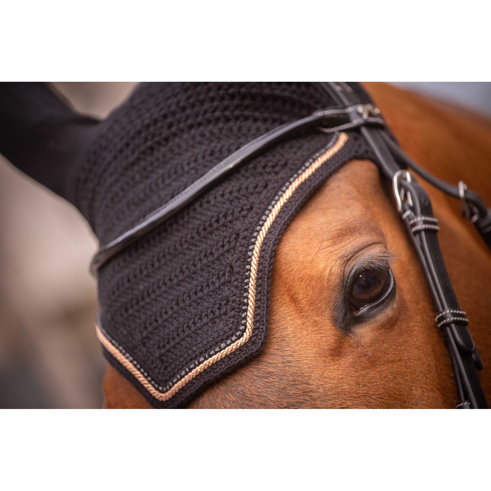 Pénélope Diamant Fly Veil Black/golden pink - 306894250_ambi_3