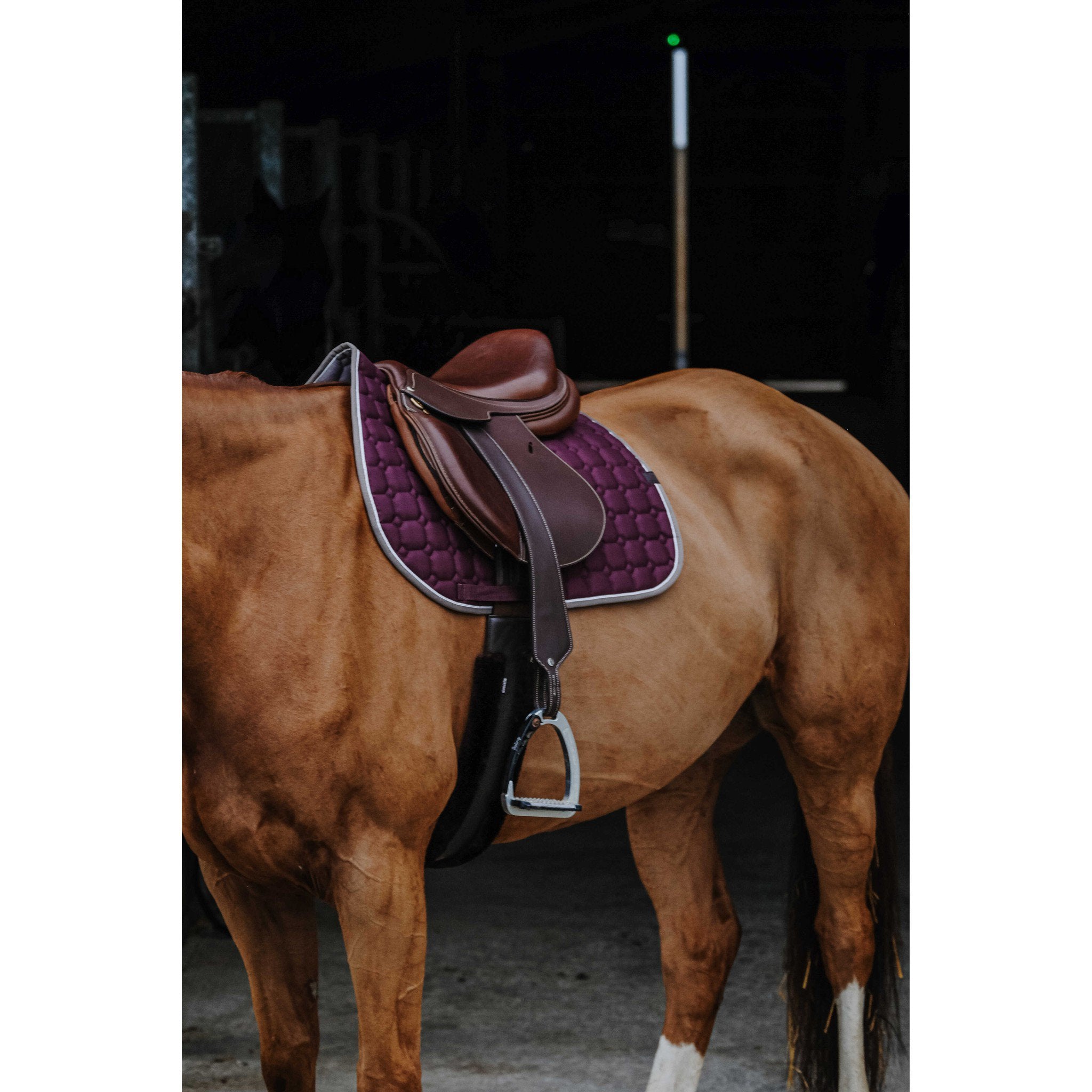 EQUITHÈME Orion saddle pad - All purpose Plum 204774034